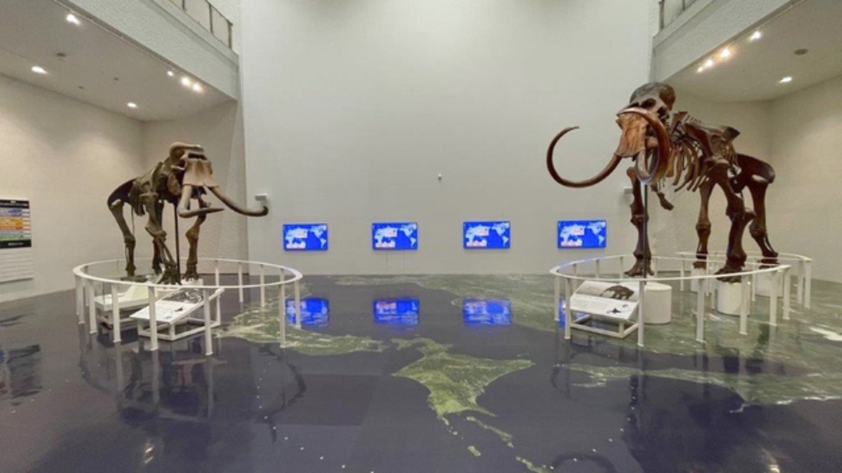 Hokkaido Museum [General Exhibition] Admission Ticket in Sapporo