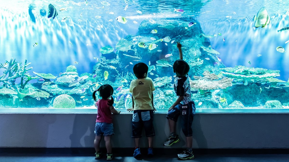 Shinagawa Aquarium Admission Ticket in Tokyo