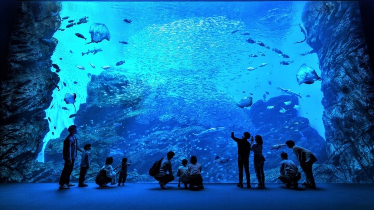 Sendai Umino-Mori Aquarium Ticket