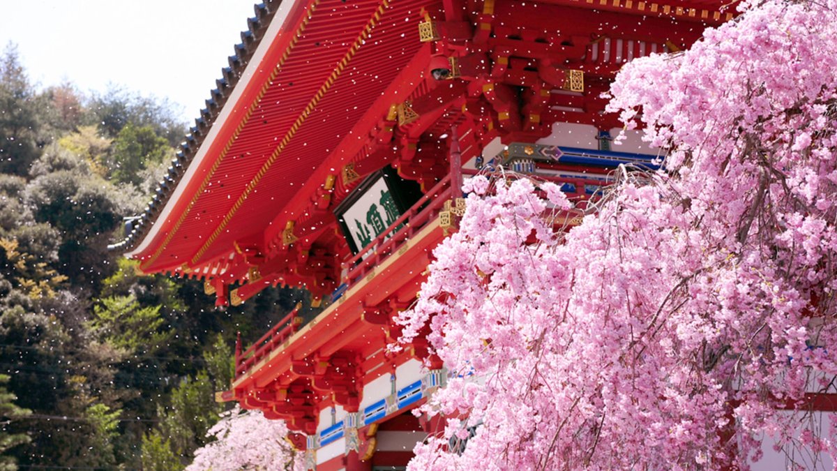 Katsuo-ji Temple Ticket (Optional Osaka Metro Pass)