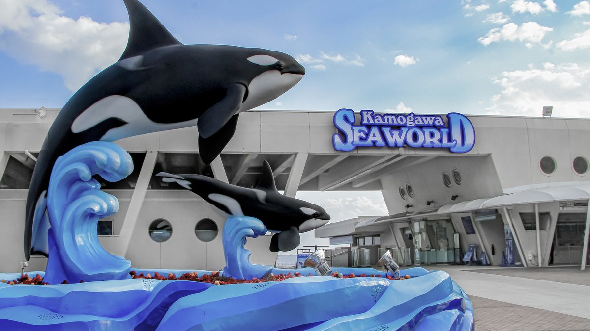 Kamogawa Sea World Ticket Admission Ticket in Chiba