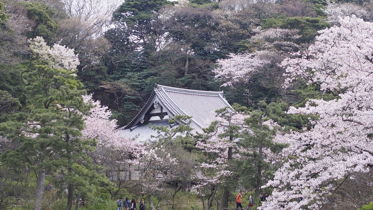 Sankeien Garden Admission
