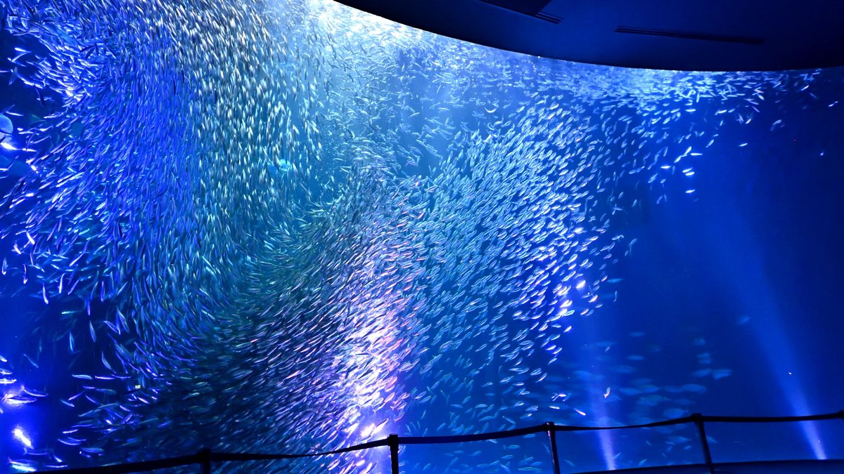 Port of Nagoya Public Aquarium Ticket