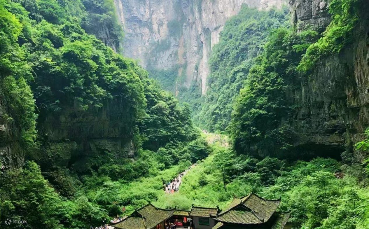 メイド イン ヘブン - 武龍天生三橋と龍水峡地割れの 1 日ツアー | Klook