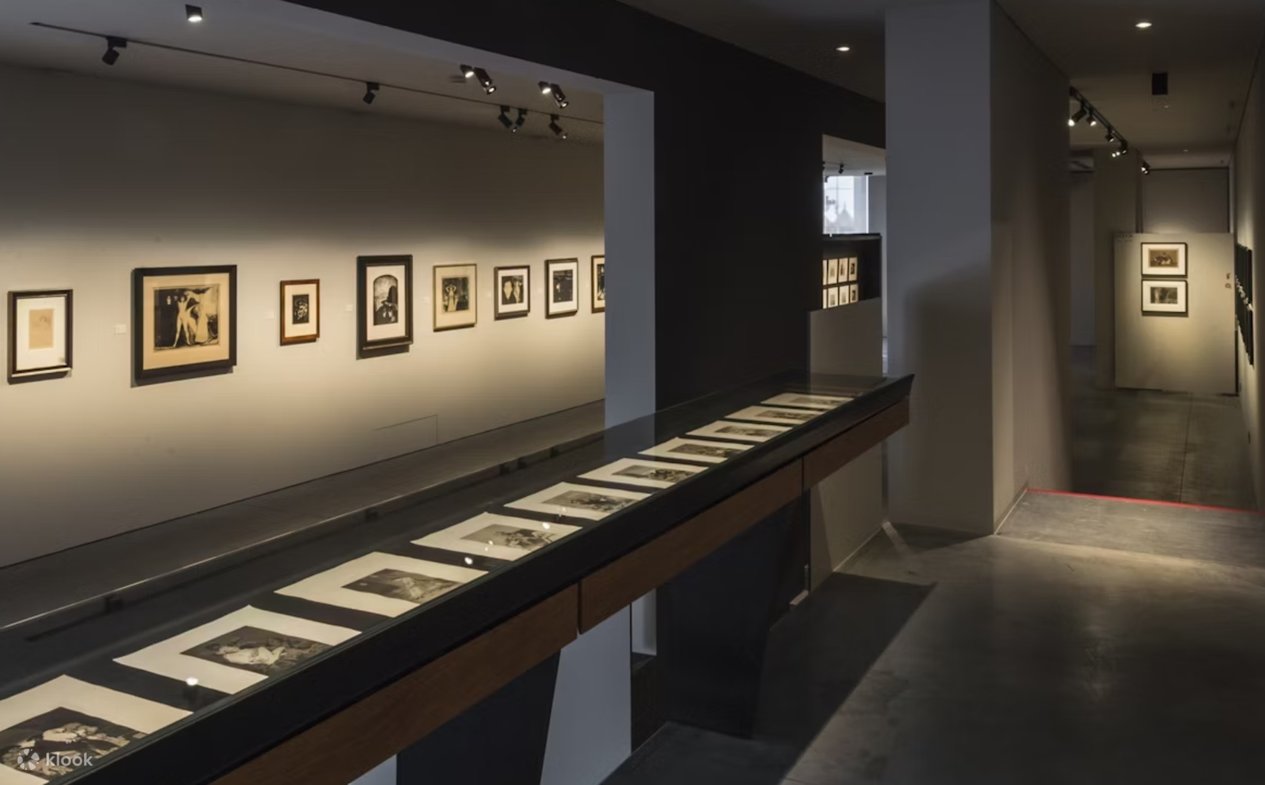 Meem Reede Museum De Reede ticket in Antwerp - Klook Stati Uniti