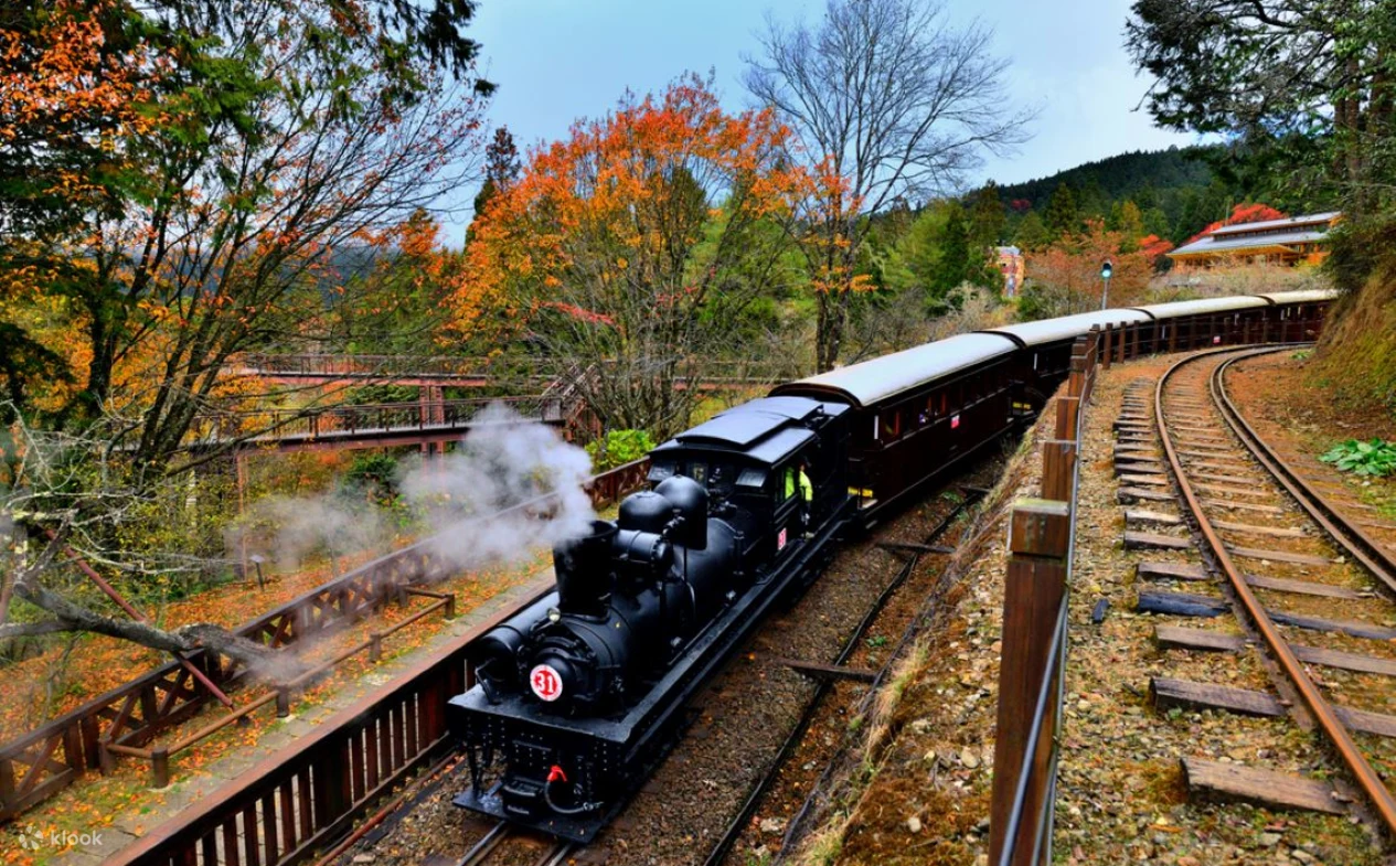 Alishan National Scenic Area is one of the best spots for Taiwan autumn foliage