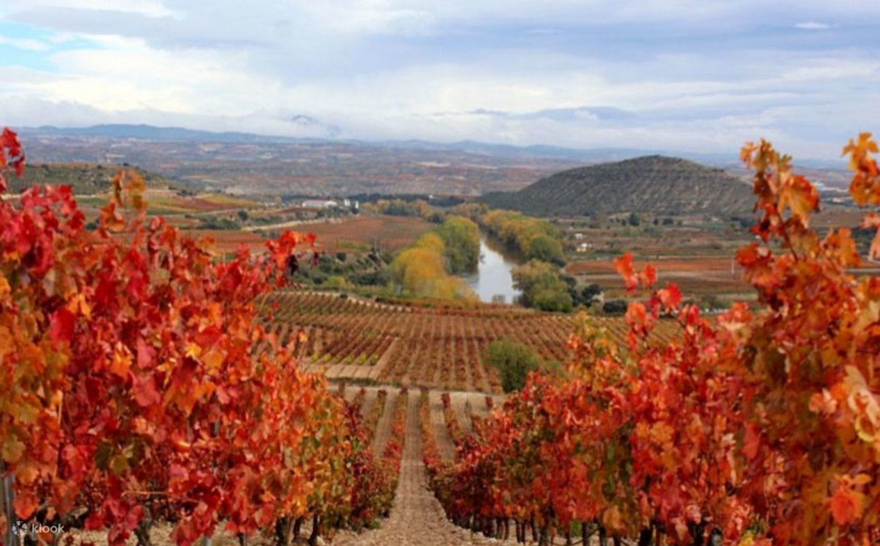 One Rioja Day Rioja and Ribera del Duero Wineries Private One Day Tour from Madrid ...