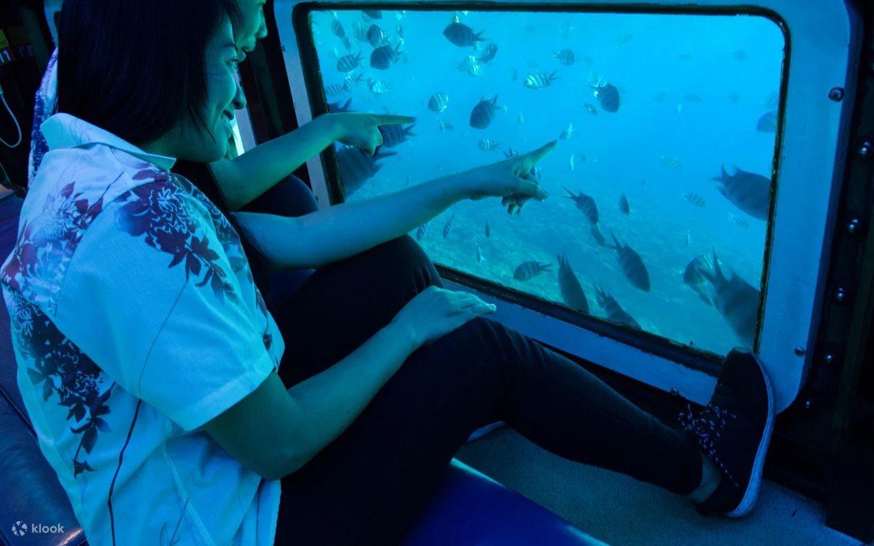 Glass Bottom Boat Tour in Okinawa