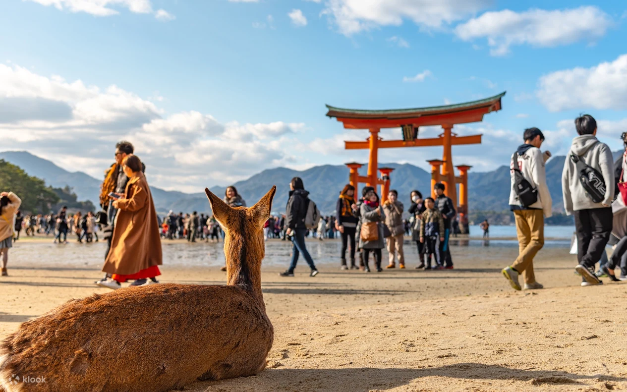 Hiroshima & Miyajima with Ferry and Optional Shinkansen