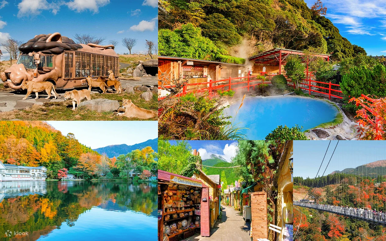 Beppu Jigoku Onsen & Yufuin Day Trip (Private)