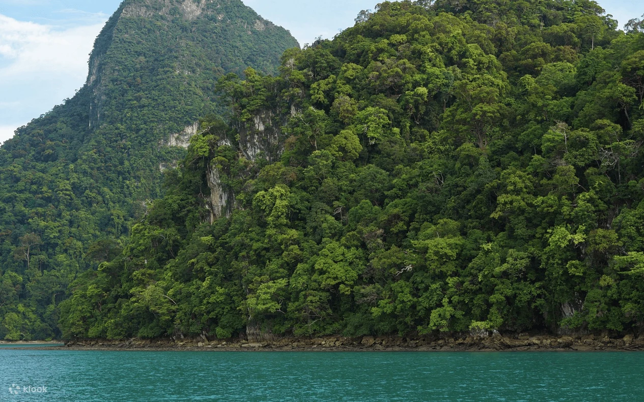 Langkawi Island Hopping & Mangrove Tour Combo