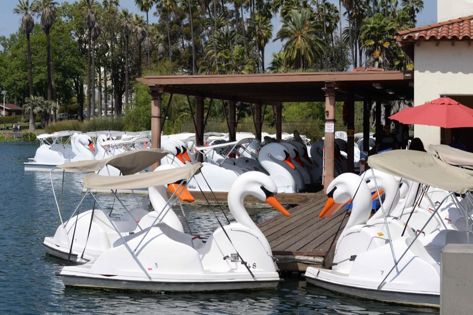 Swan Boats Rental in Echo Park Lake Los Angeles - Thumbnail 6