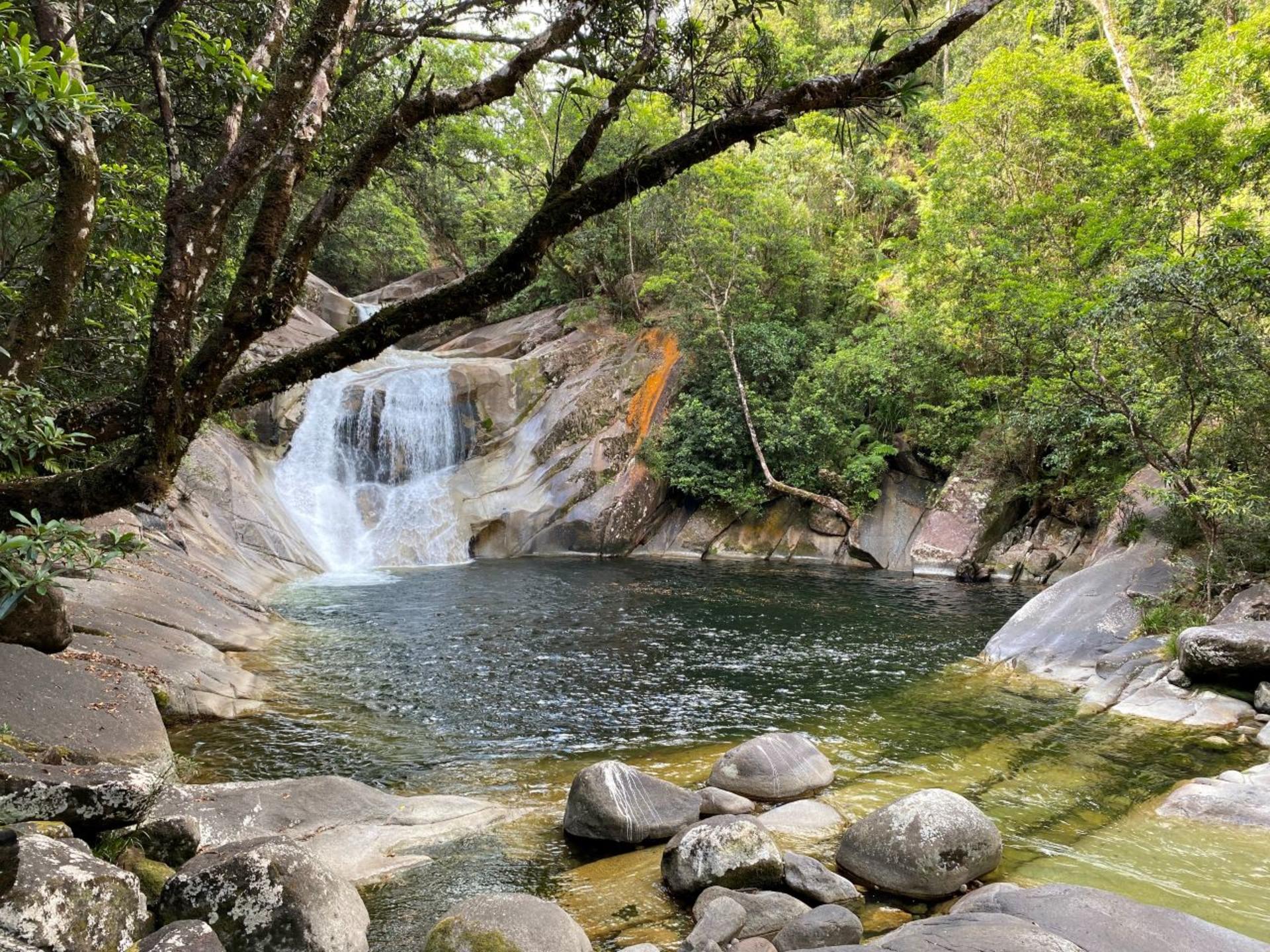 Cairns Full-Day Cassowary Coast Cultural Waterfall Tour - Thumbnail 4