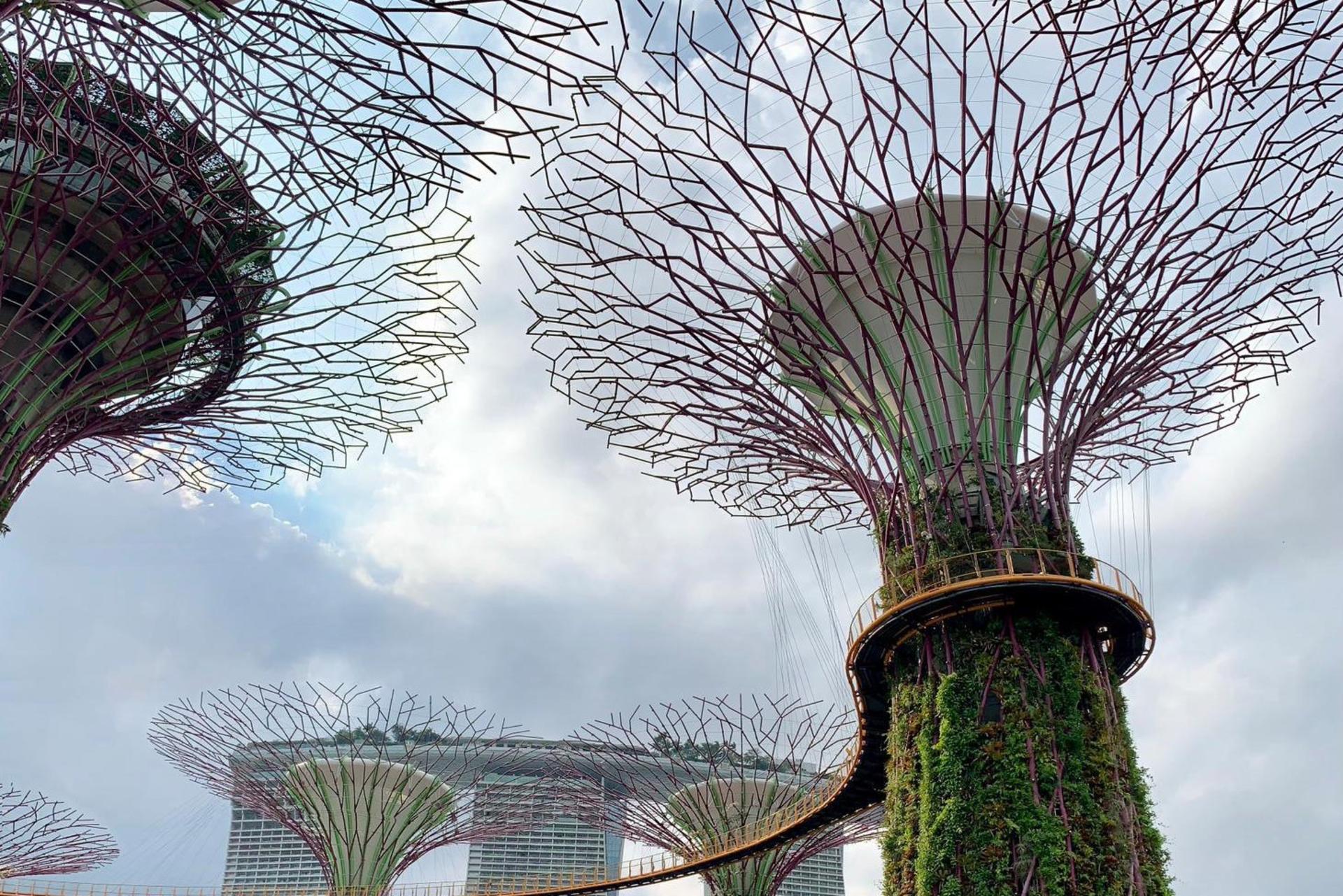 [Klook Exclusive] Singapore Garden City Walking Tour - Thumbnail 6