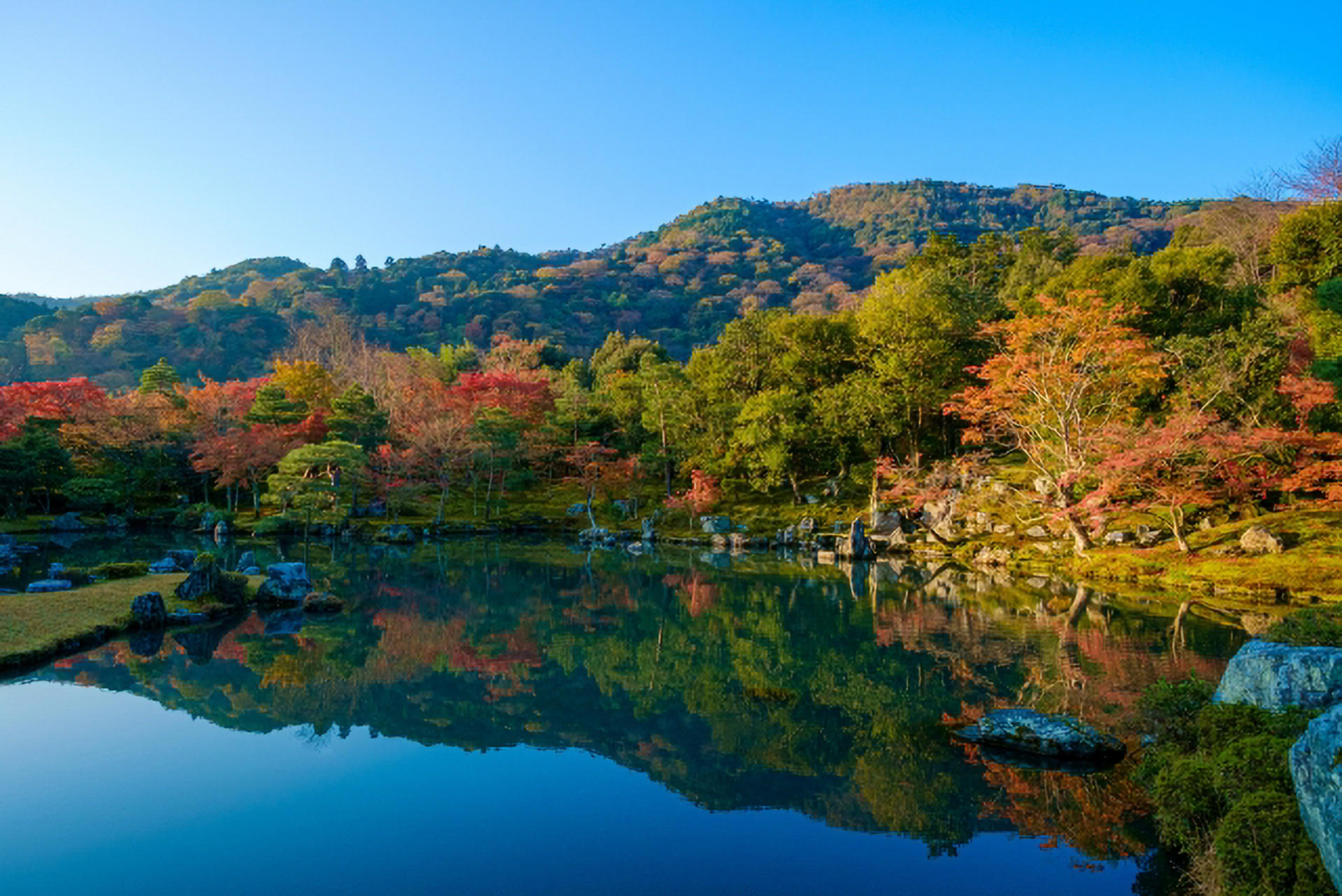 Kyoto City, Western Kyoto & Arashiyama:In-Depth 1-Day Cultural Tour - Thumbnail 19