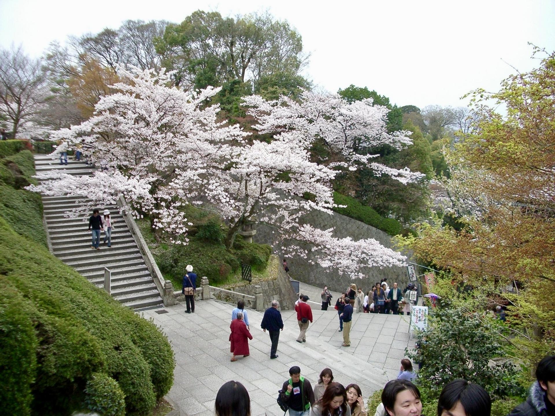 Kiyomizudera, Yasaka Shrine Discovery Walking Tour - Image 1