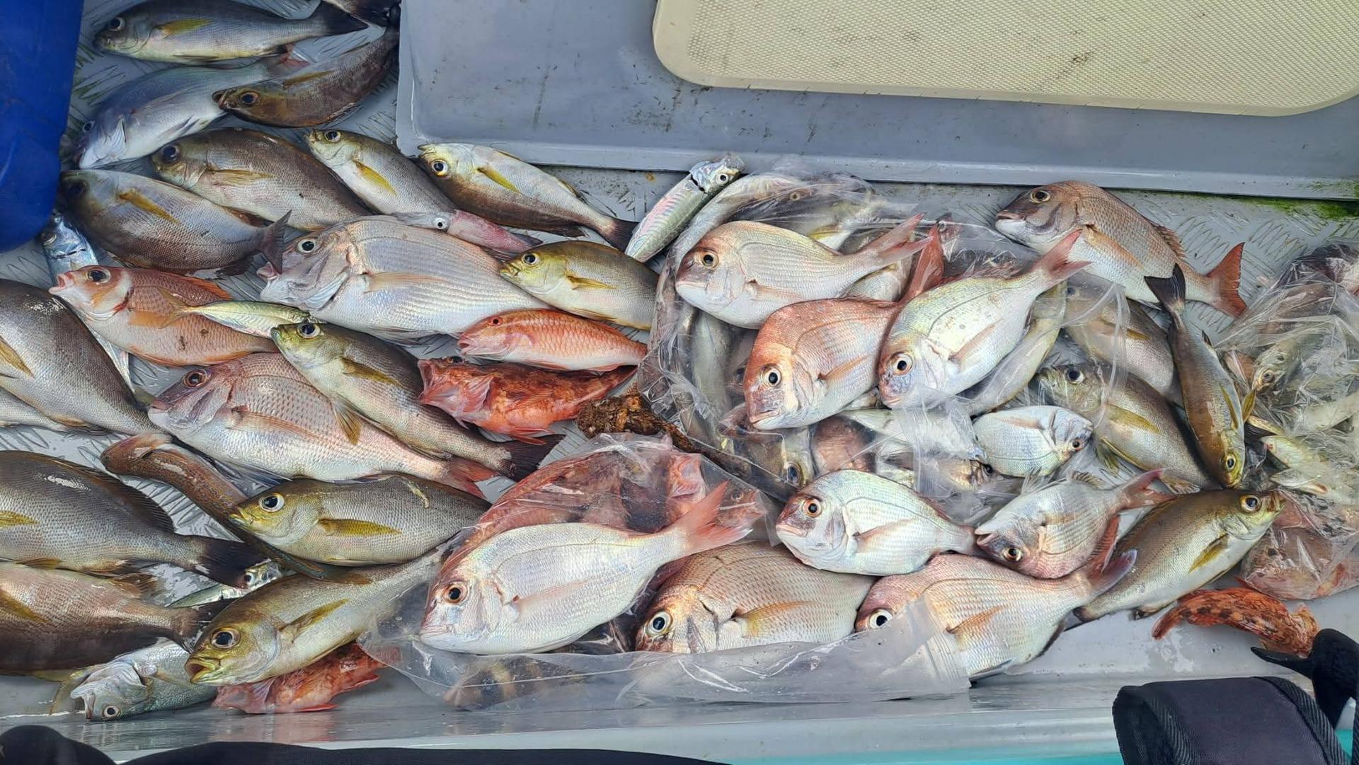 Ji Son Fishing Hong Kong Water Private Boat Fishing Group - Thumbnail 3