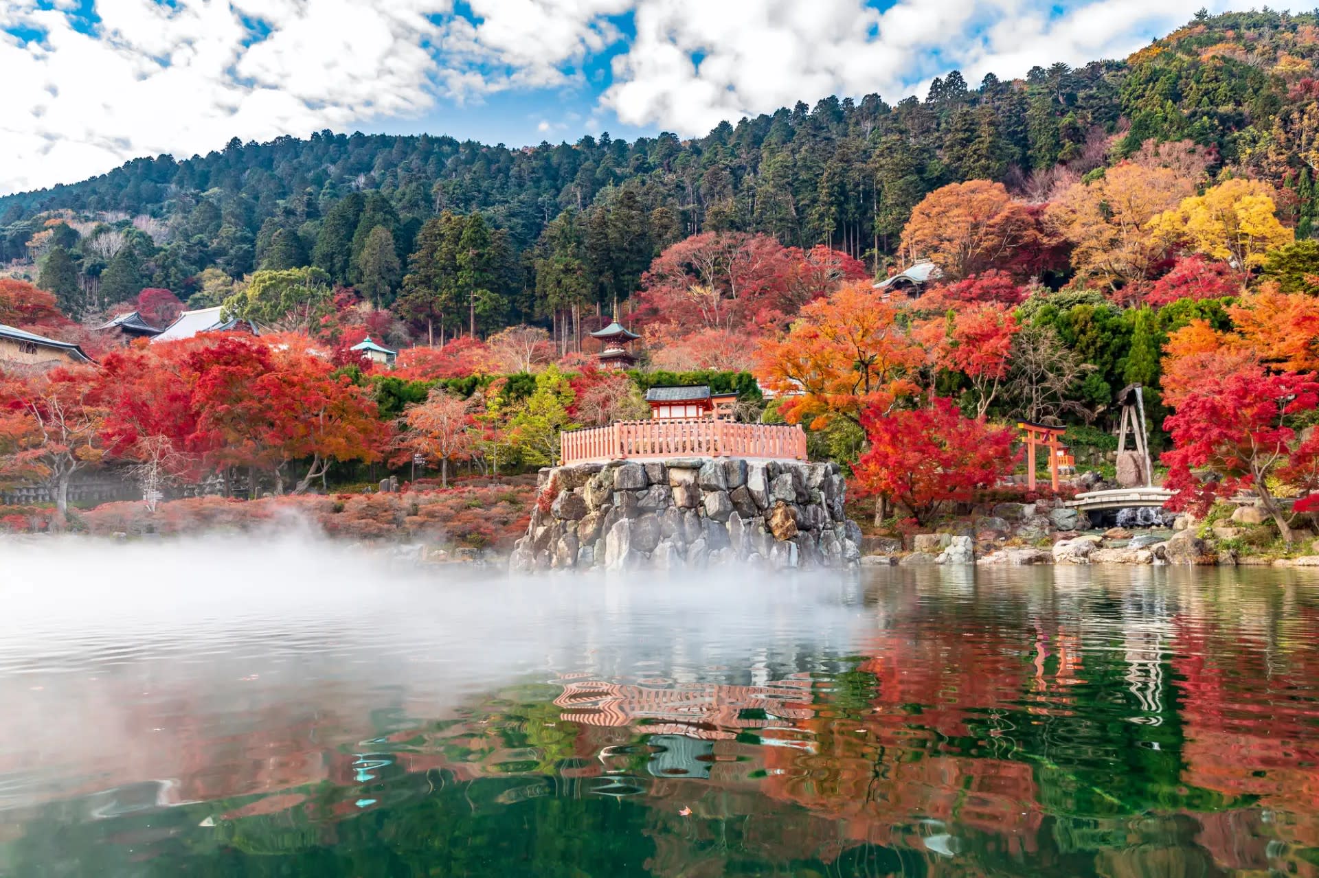 [Departing from Osaka/Kyoto] Kyoto/Nara/Osaka Enjoy a flexible and customized chartered car day trip in Kansai - Thumbnail 4