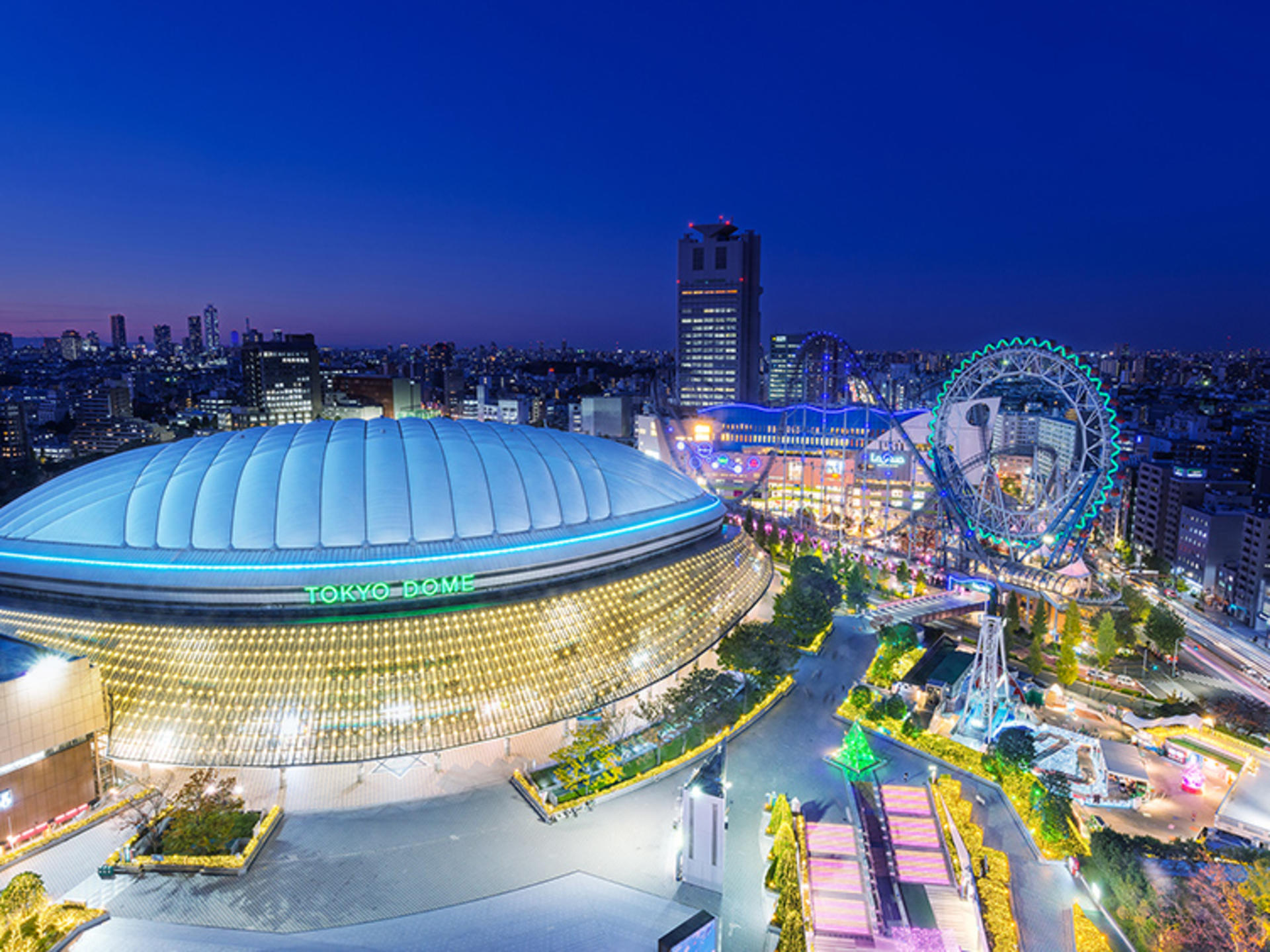 Tokyo Private Chartered Car Day Tour (Customizable Itinerary) - Thumbnail 10
