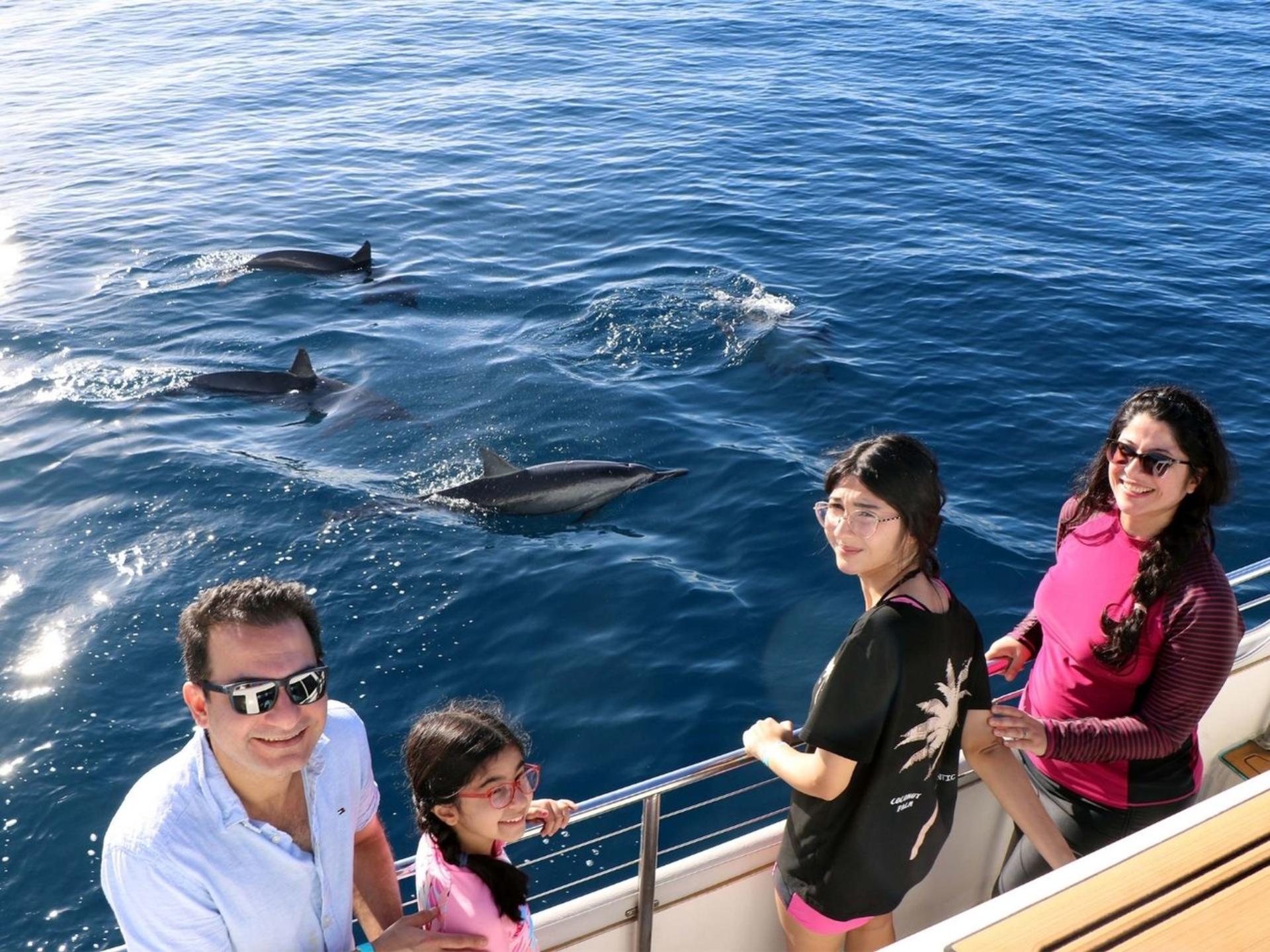 Luxury Morning Snorkel Cruise with Dolphin Watching in Oahu - Thumbnail 21