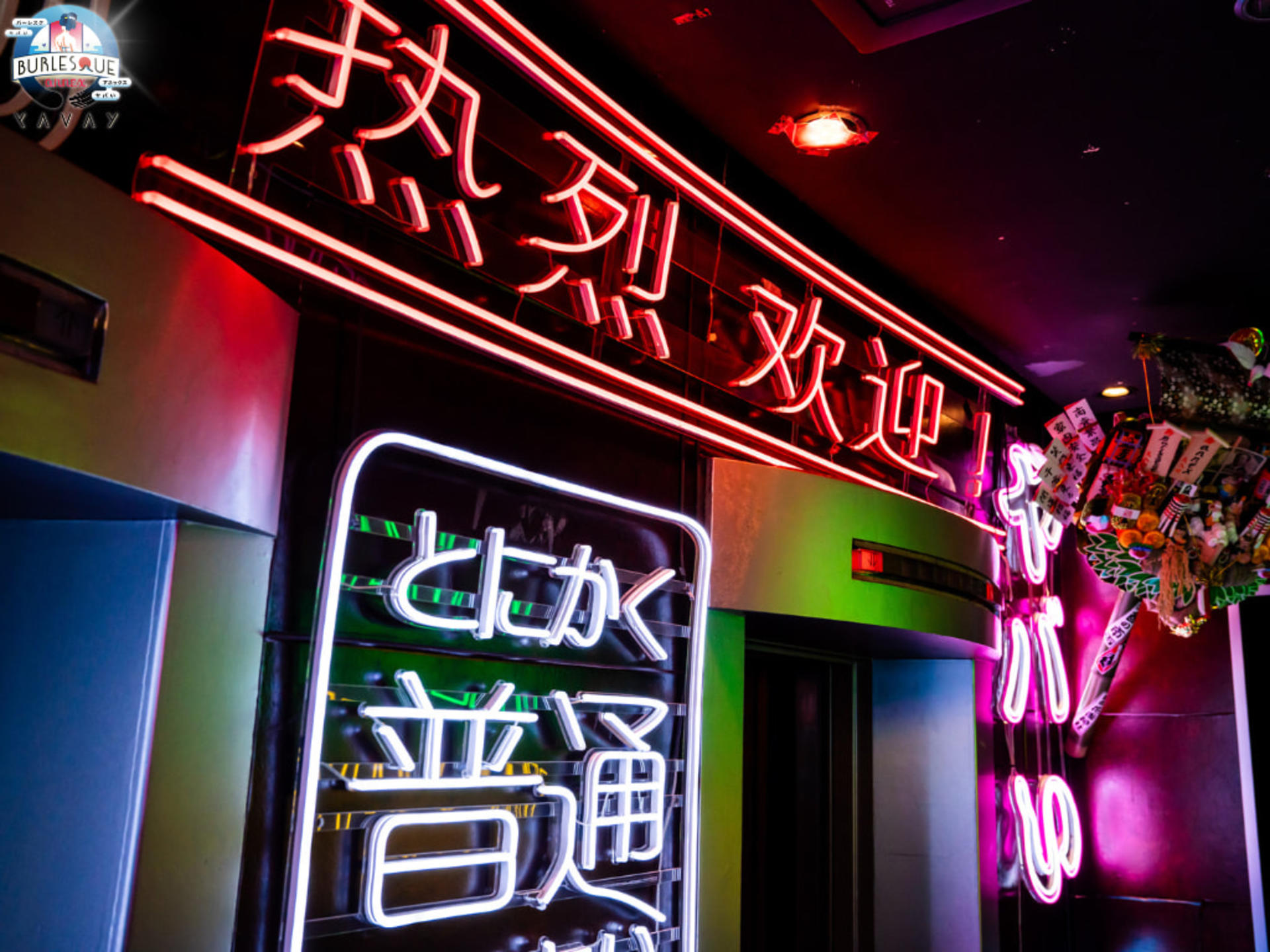 Tokyo Roppongi | Burlesque annex YAVAY Girls SHOW CLUB High-level Performing Arts - Thumbnail 10
