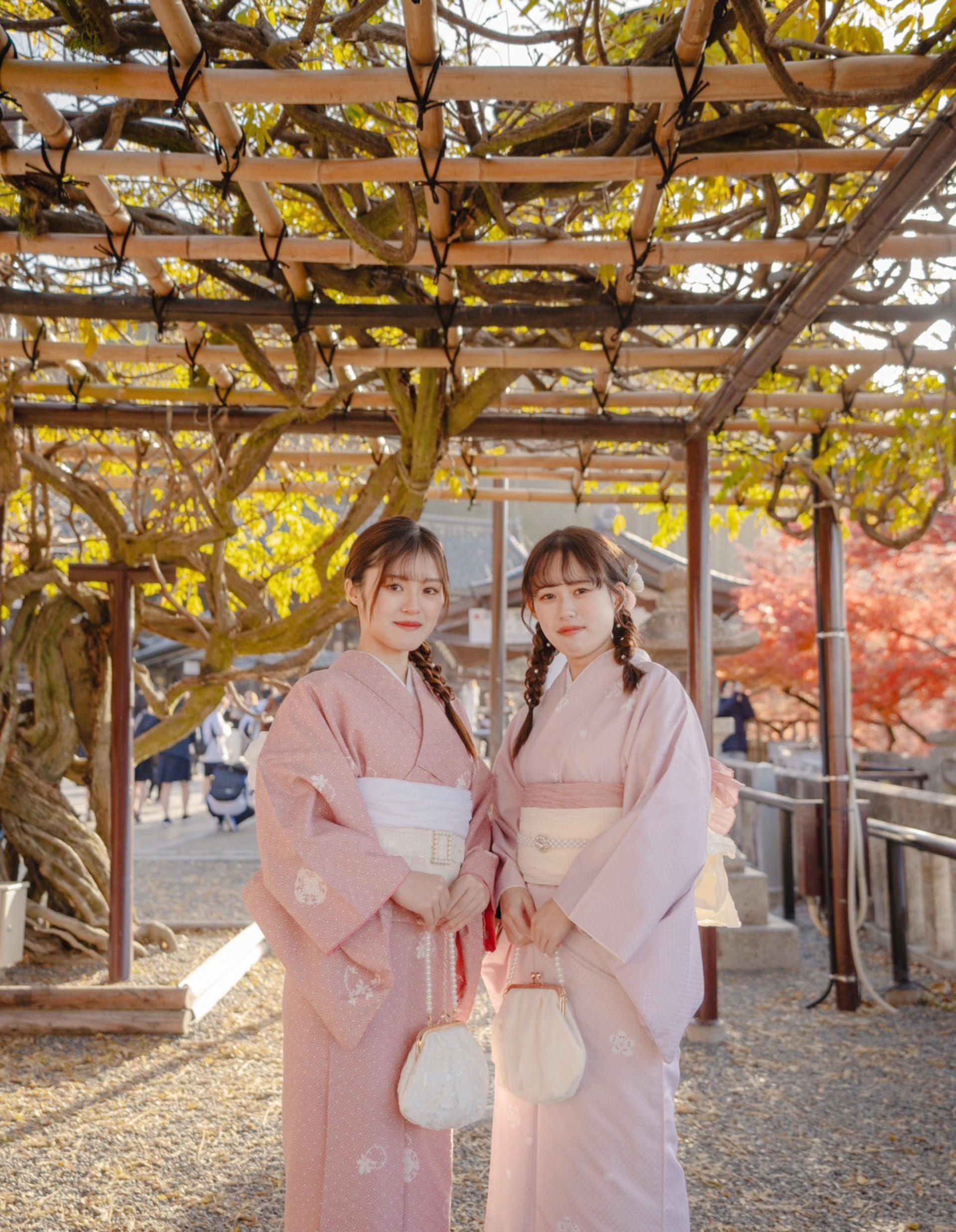Kimono Rental (Kyoto Kiyomizu-dera Temple / Provided by Shiki Sakura) - Thumbnail 17
