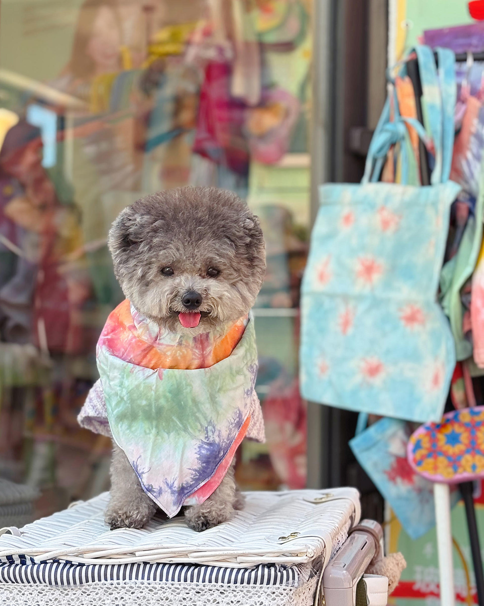 JUST BE Colorful, Monochrome Craft Tie-Dye | Ma Wan 1868 Art Village - Thumbnail 19