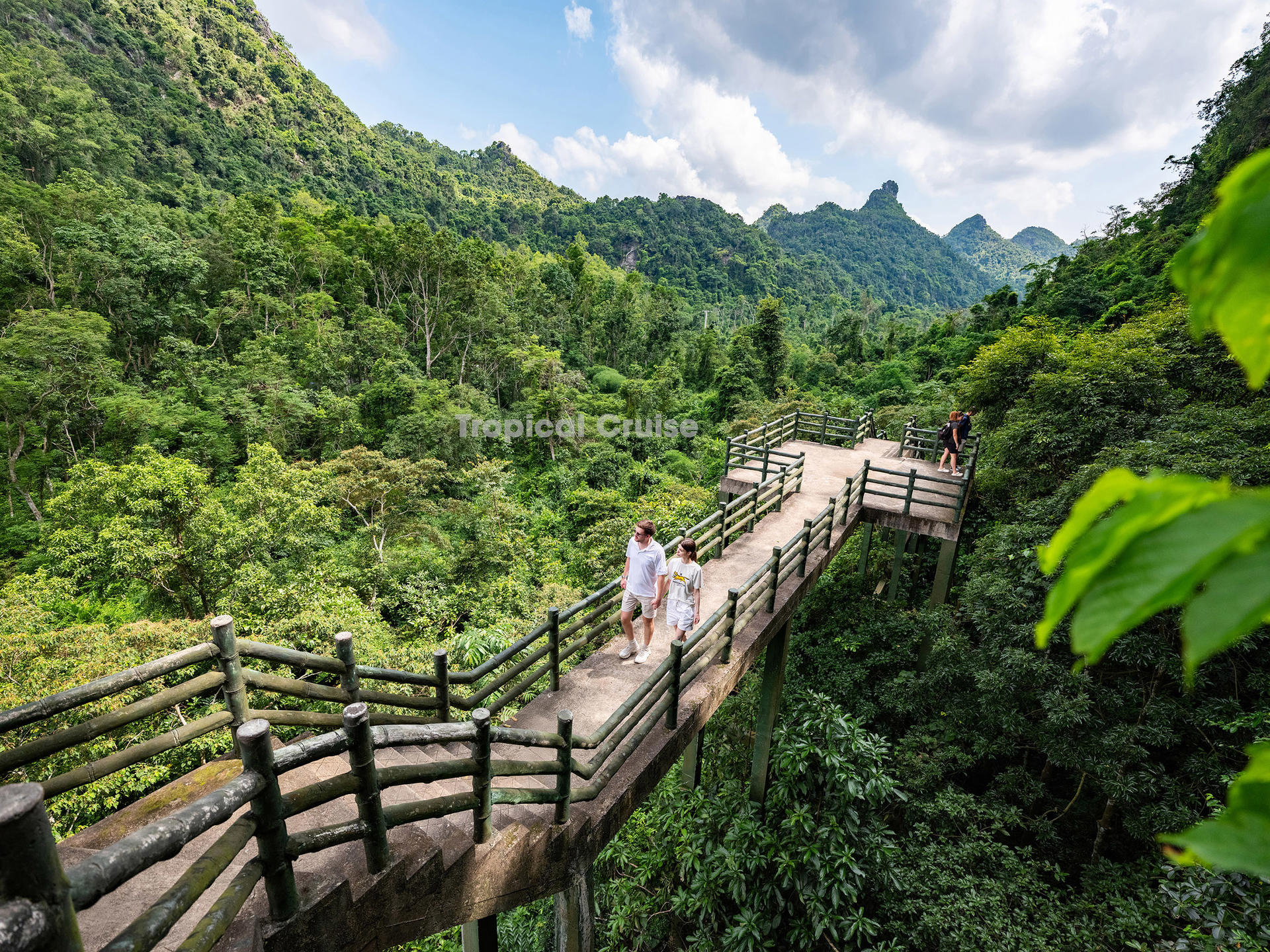 Tropical Day Cruise: Ha Long Bay & Lan Ha Bay, Cat Ba Island Tour - Thumbnail 15