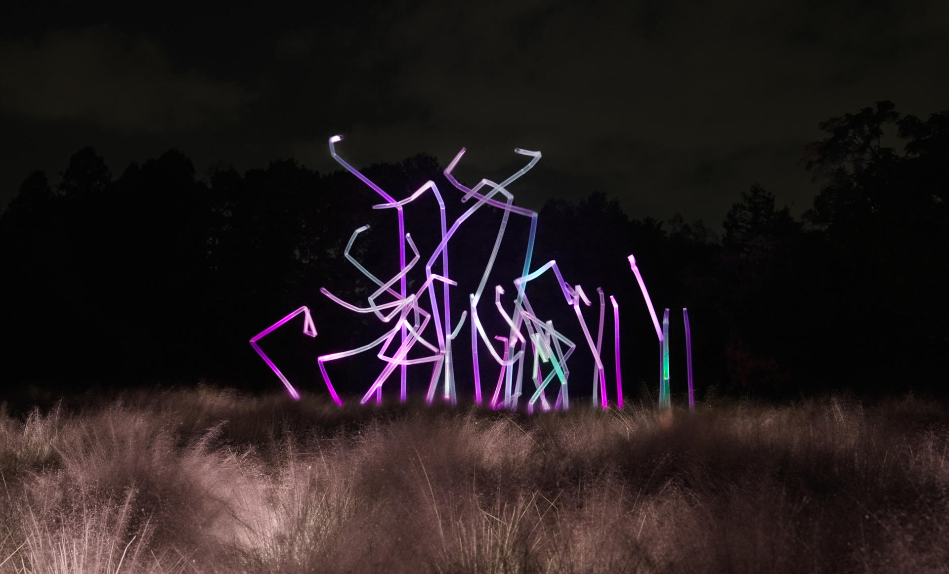 teamLab Botanical Garden Osaka Ticket - Image 1