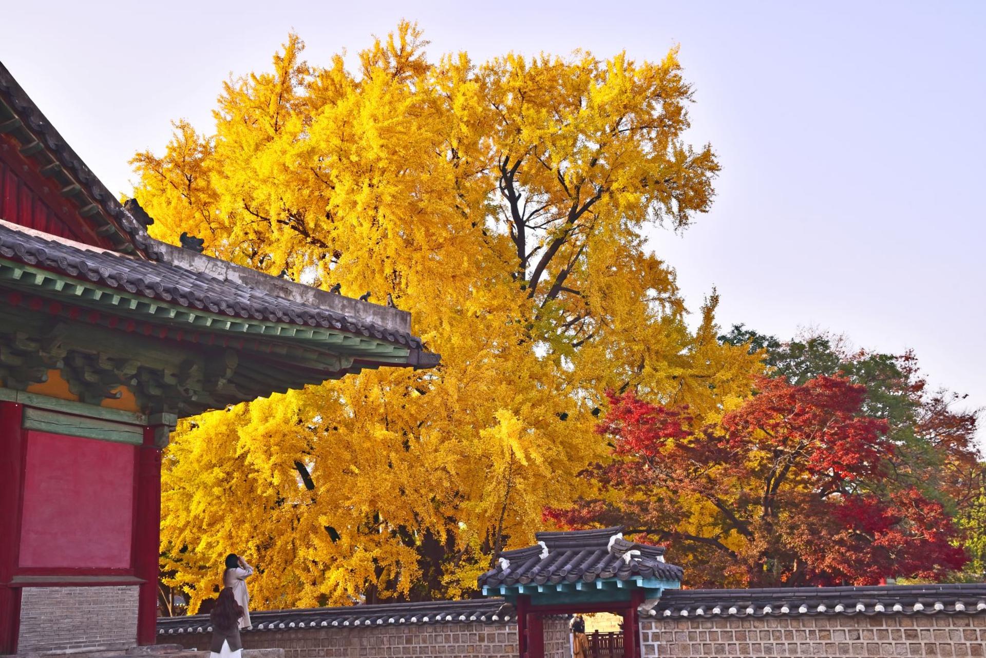 Seoul Private Half day Walking Tour - Thumbnail 6