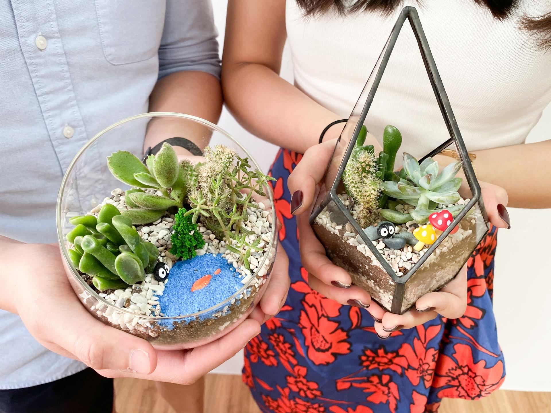 Terrarium Workshop in Marymount - Thumbnail 3