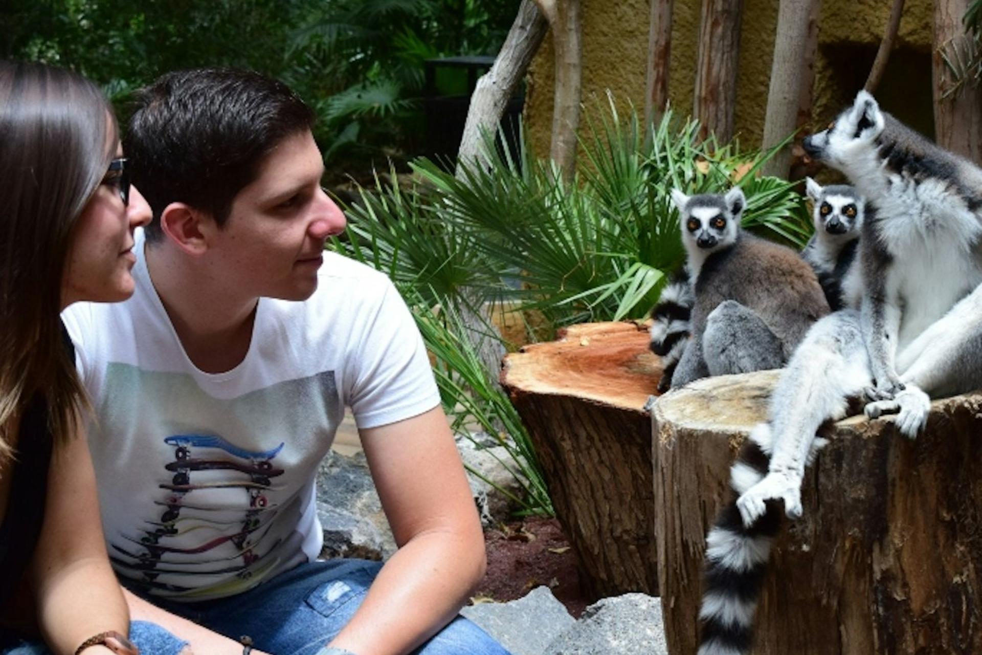 Jungle Park ticket in Tenerife - Thumbnail 2