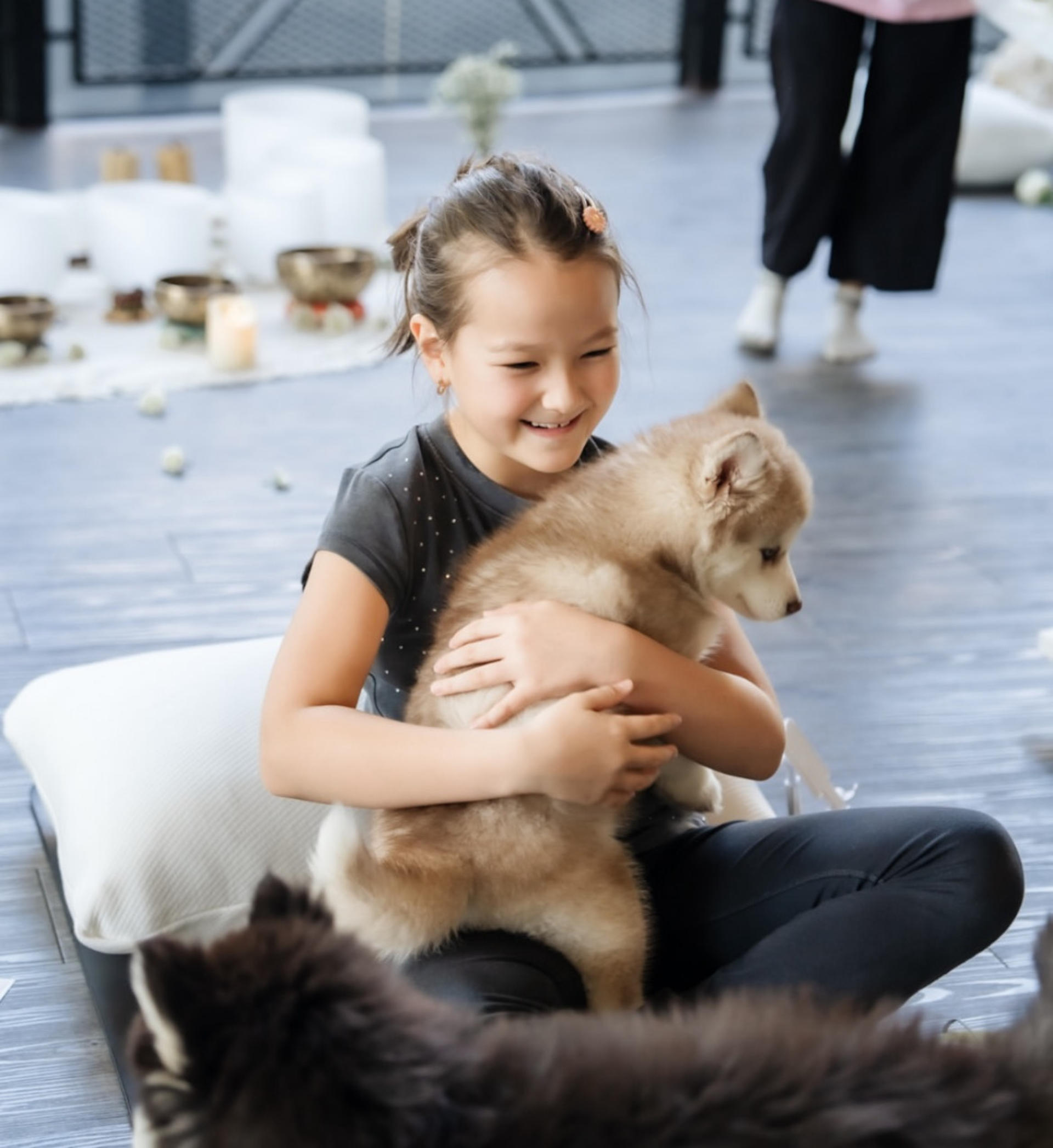 Puppy & Kitten Yoga Therapy with Photo Experience in Bangkok - Thumbnail 20