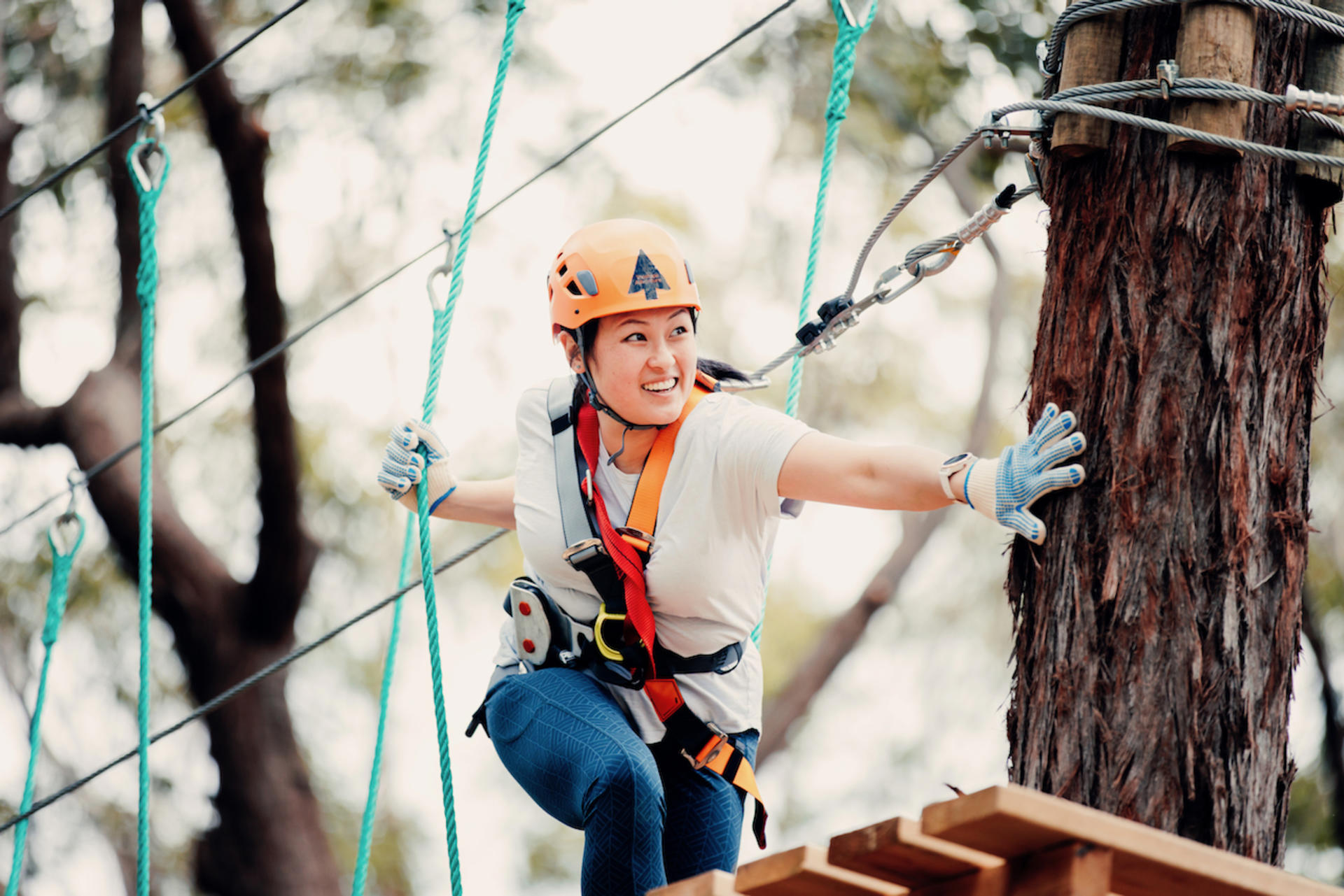 Tree Ropes Course in Western Sydney - Image 1