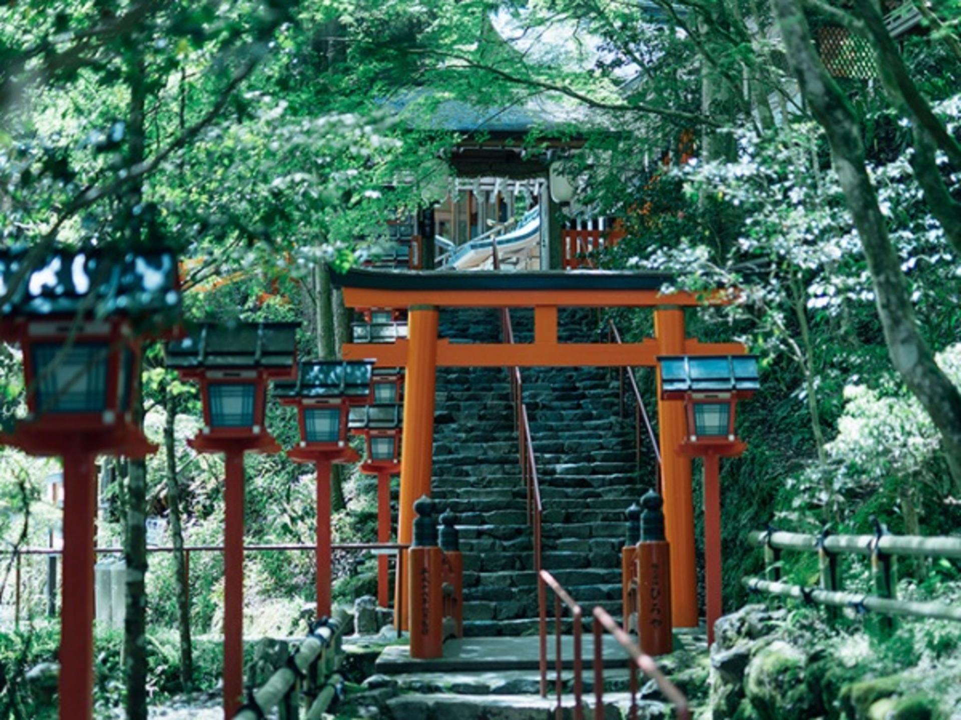 One-day trip to Kyoto's Kifune Shrine, Arashiyama, and Sanzen-in Temple - Thumbnail 11