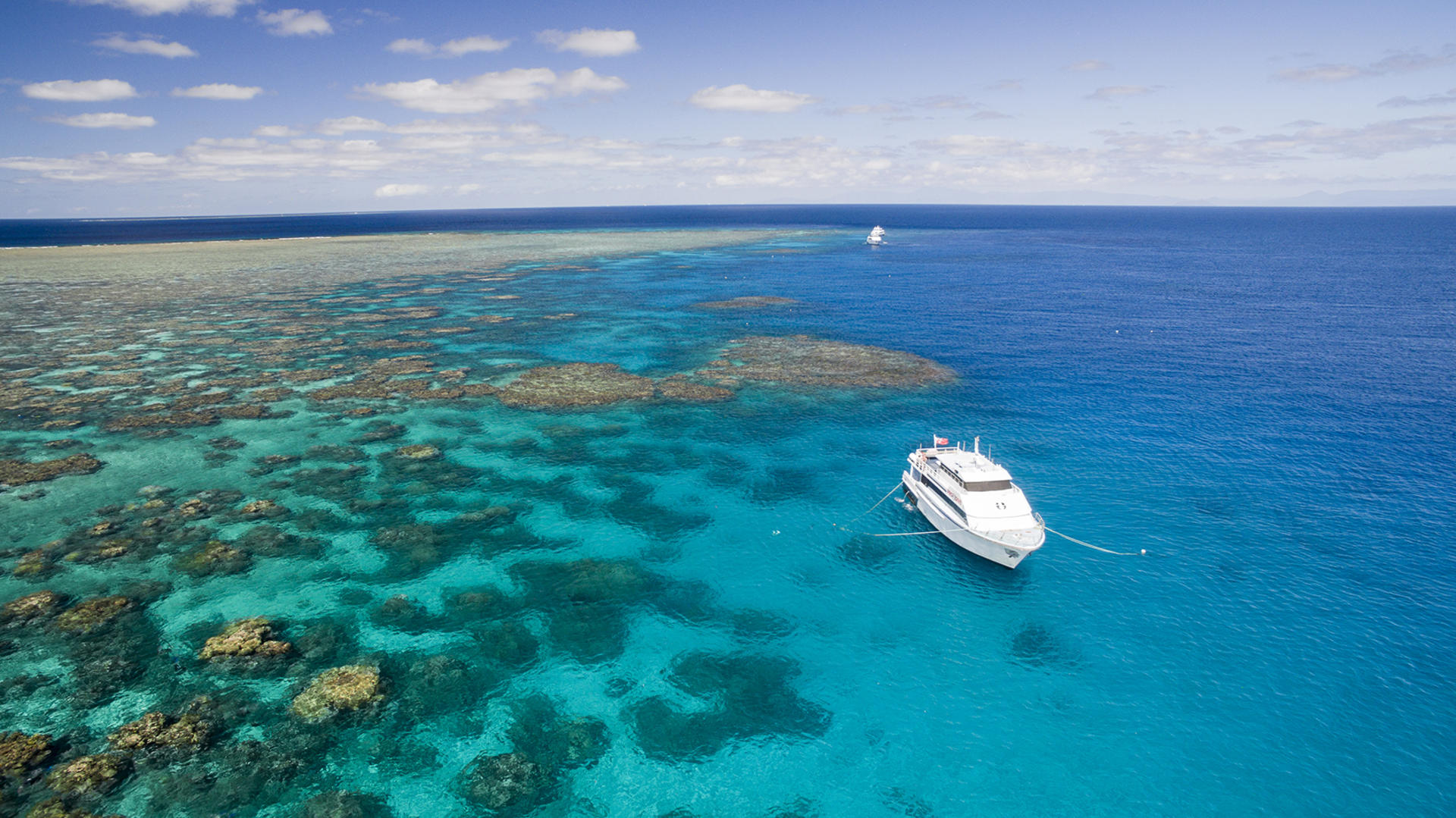 5 Day PADI Learn to Dive in Cairns - Thumbnail 5