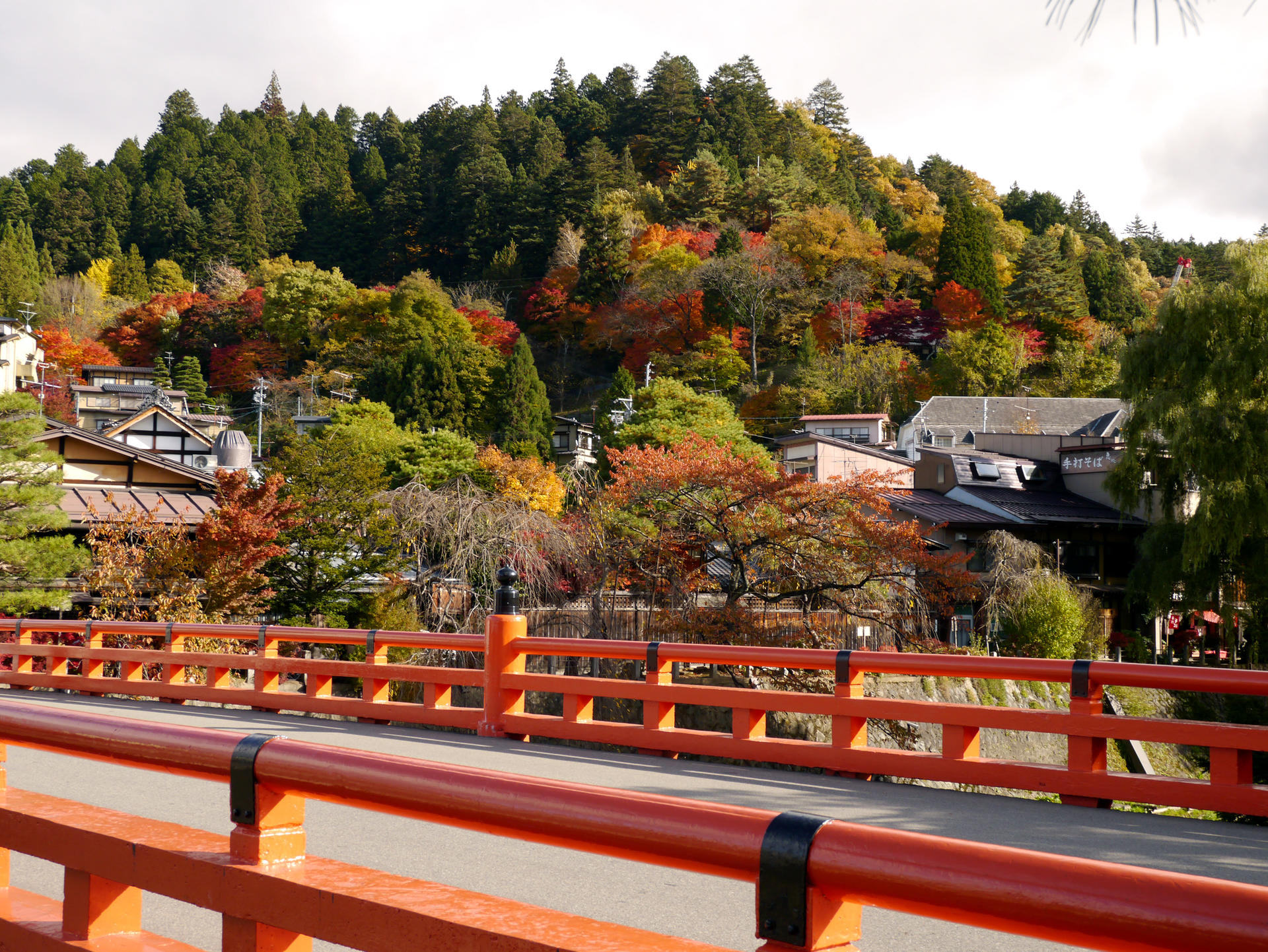 Gifu & Takayama Access Ticket: Nagoya Departure - Thumbnail 20