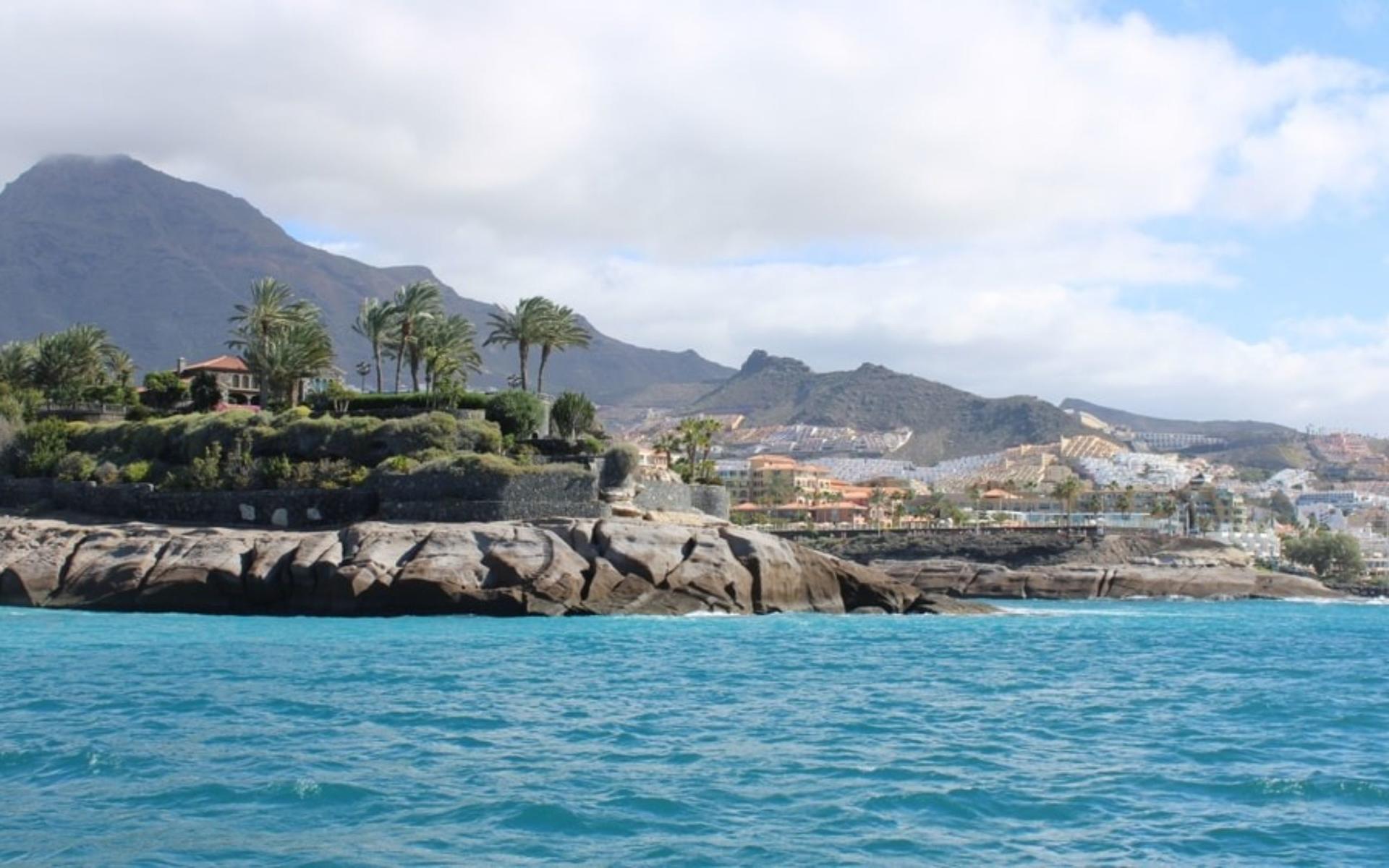 Whale and dolphin watching catamaran experience in Costa Adeje - Thumbnail 4