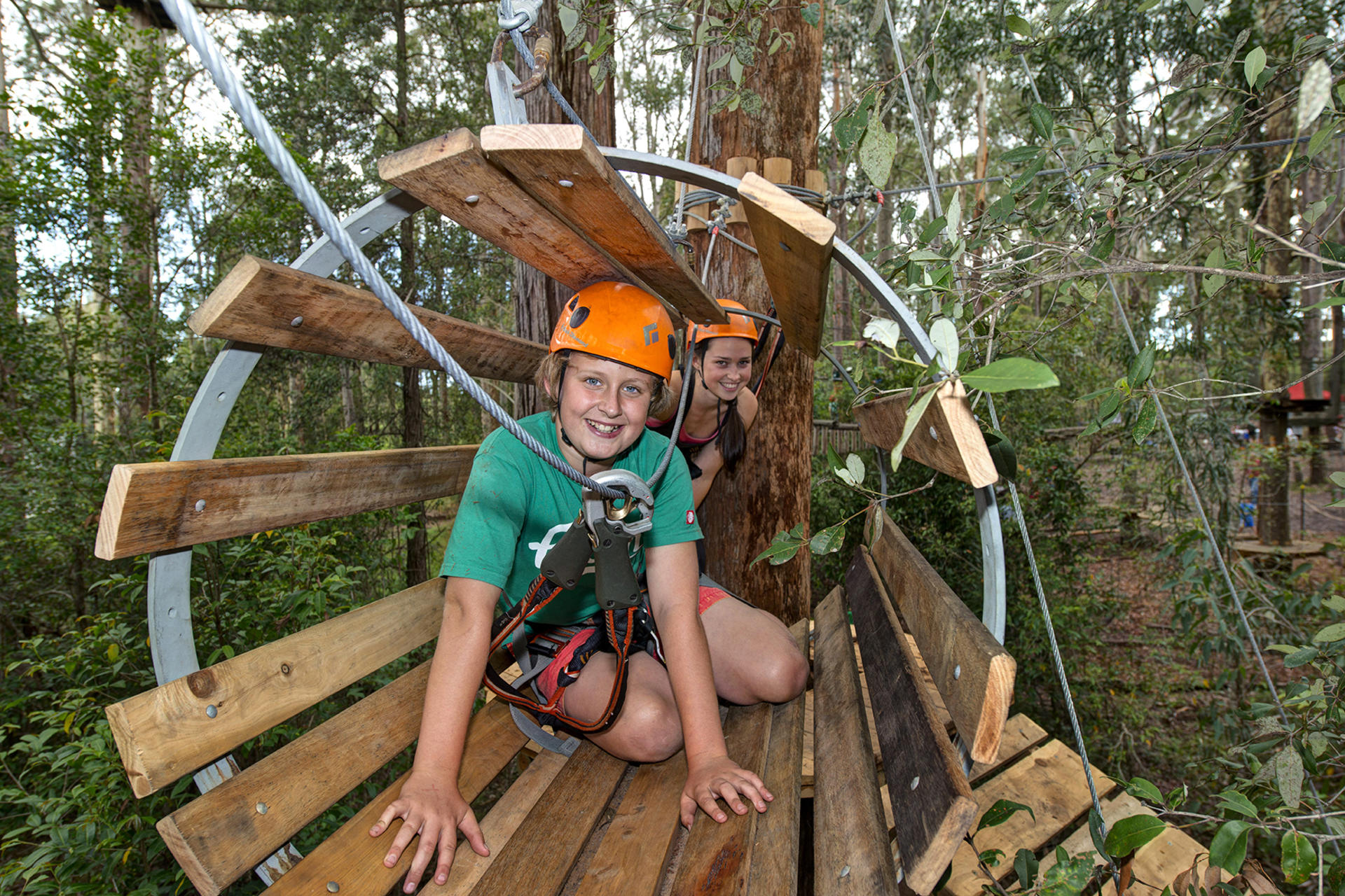 Tree Ropes Course in Pennant Hills - Thumbnail 2
