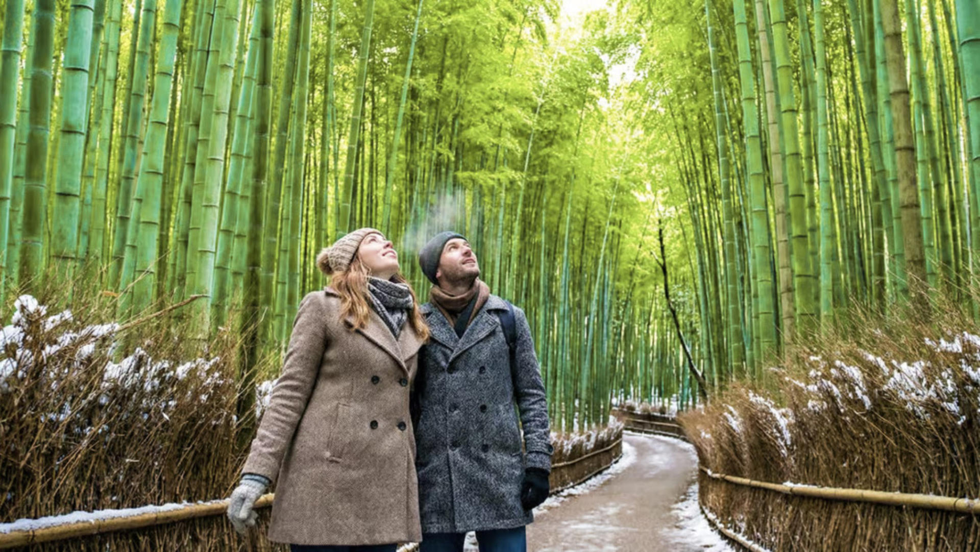 Kyoto: Arashiyama Unveiled – Bamboo, Temple, Matcha, Monkeys - Image 1
