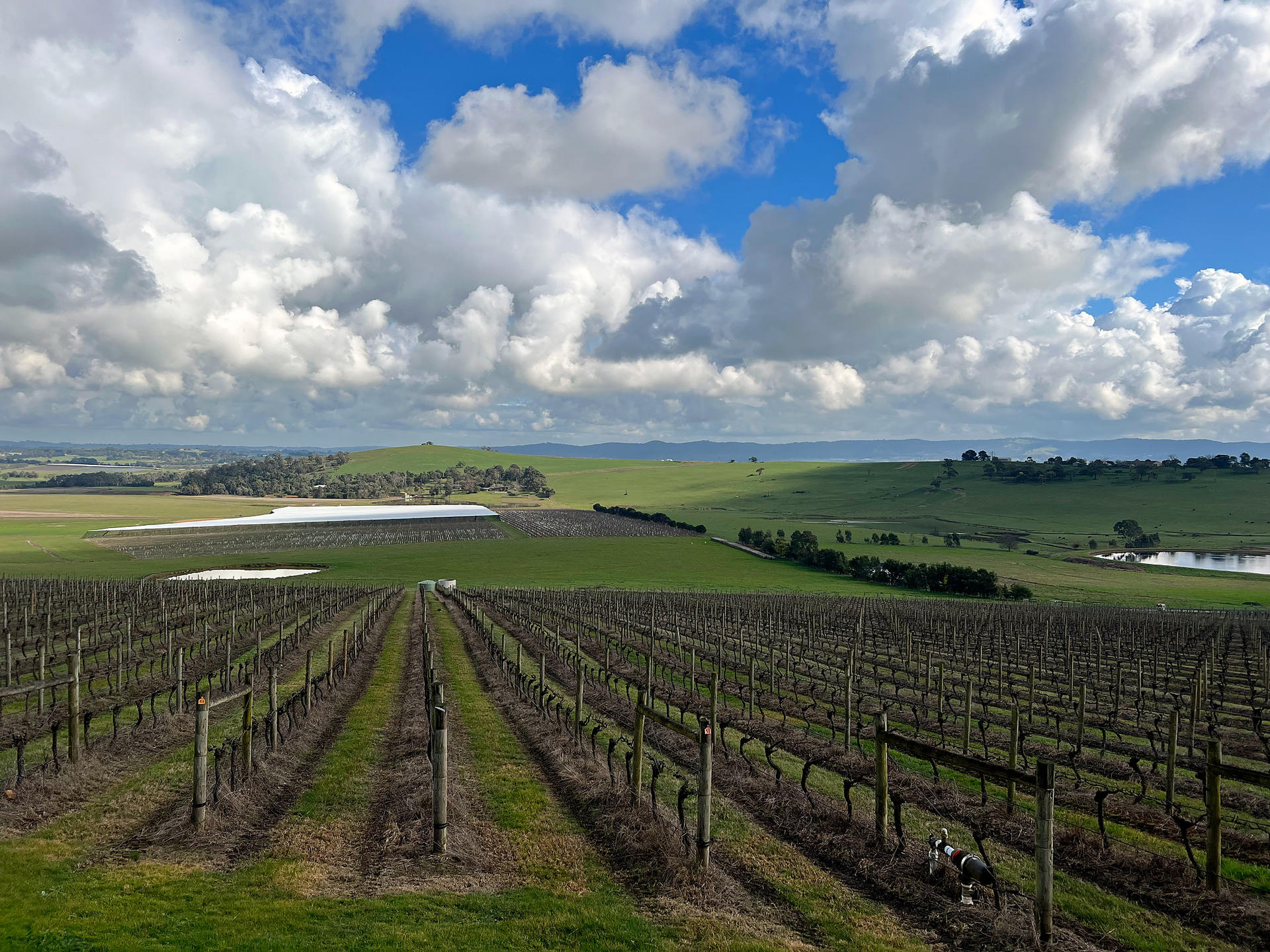 Relaxed Half Day Yarra Valley Wine Tour from Melbourne - Thumbnail 26
