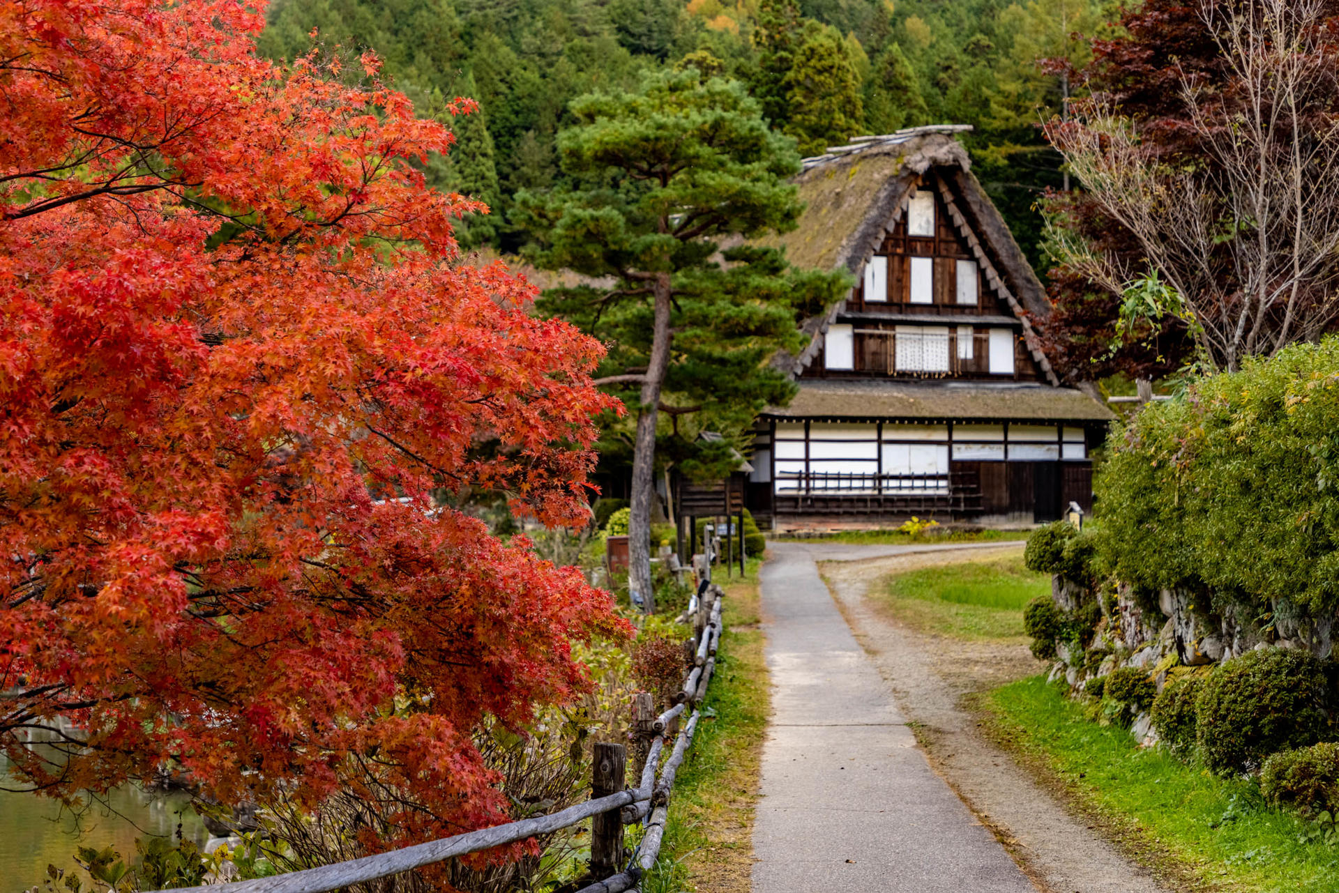 Gifu & Takayama Access Ticket: Nagoya Departure - Thumbnail 8