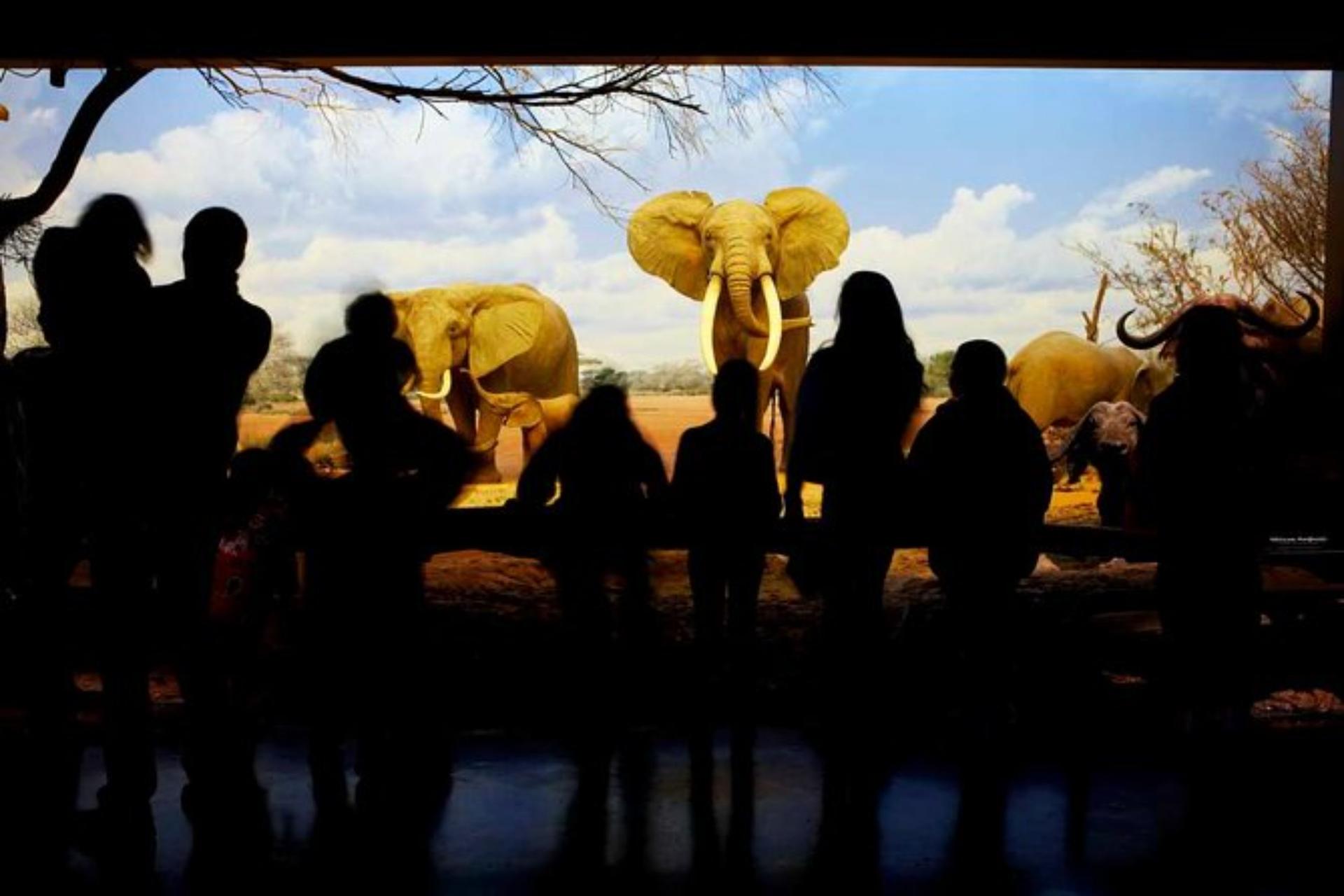 Natural History Museum Ticket in Los Angeles - Thumbnail 2