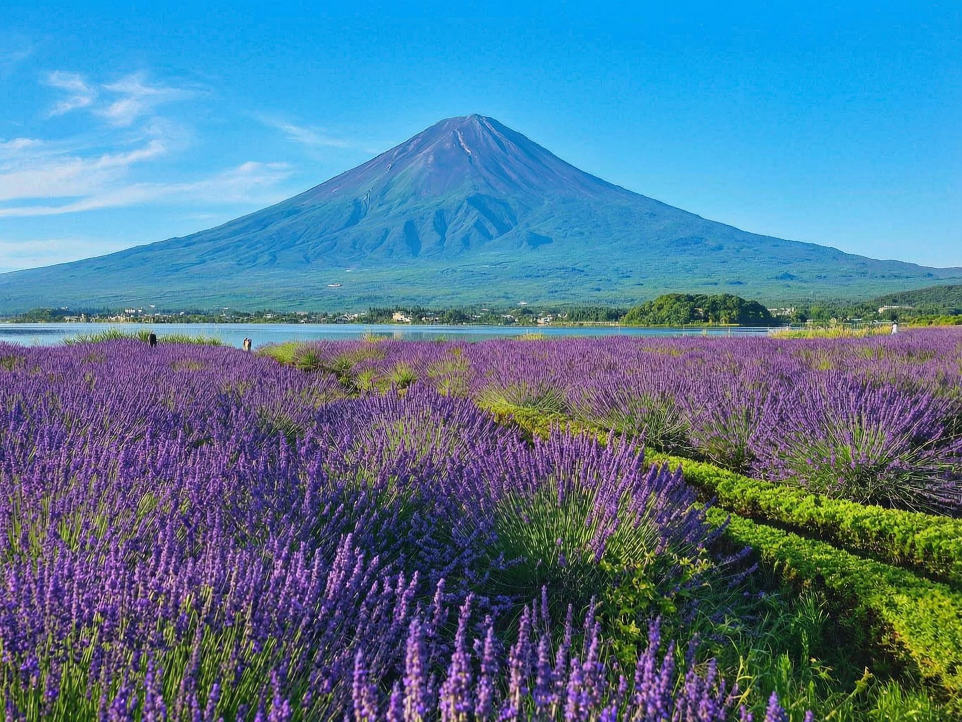 Mount Fuji Brilliant Scenery One-Day Tour (Departing from Tokyo) - Thumbnail 14