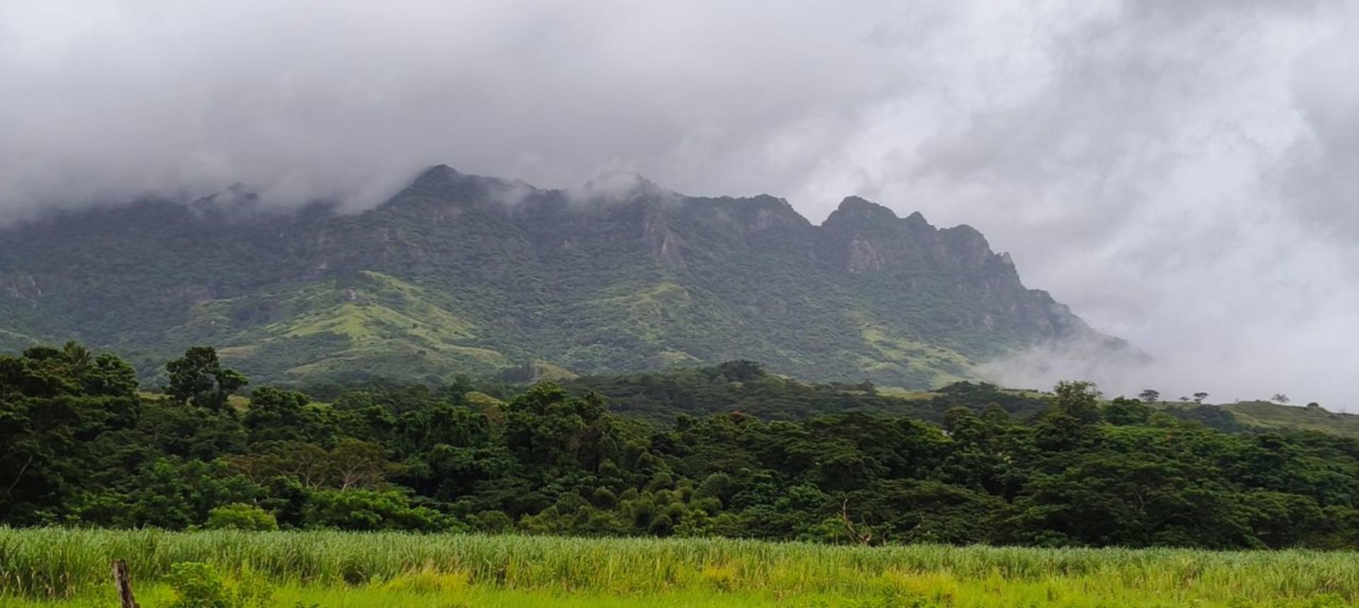 Best Of Nadi Sightseeing Tour - Thumbnail 2