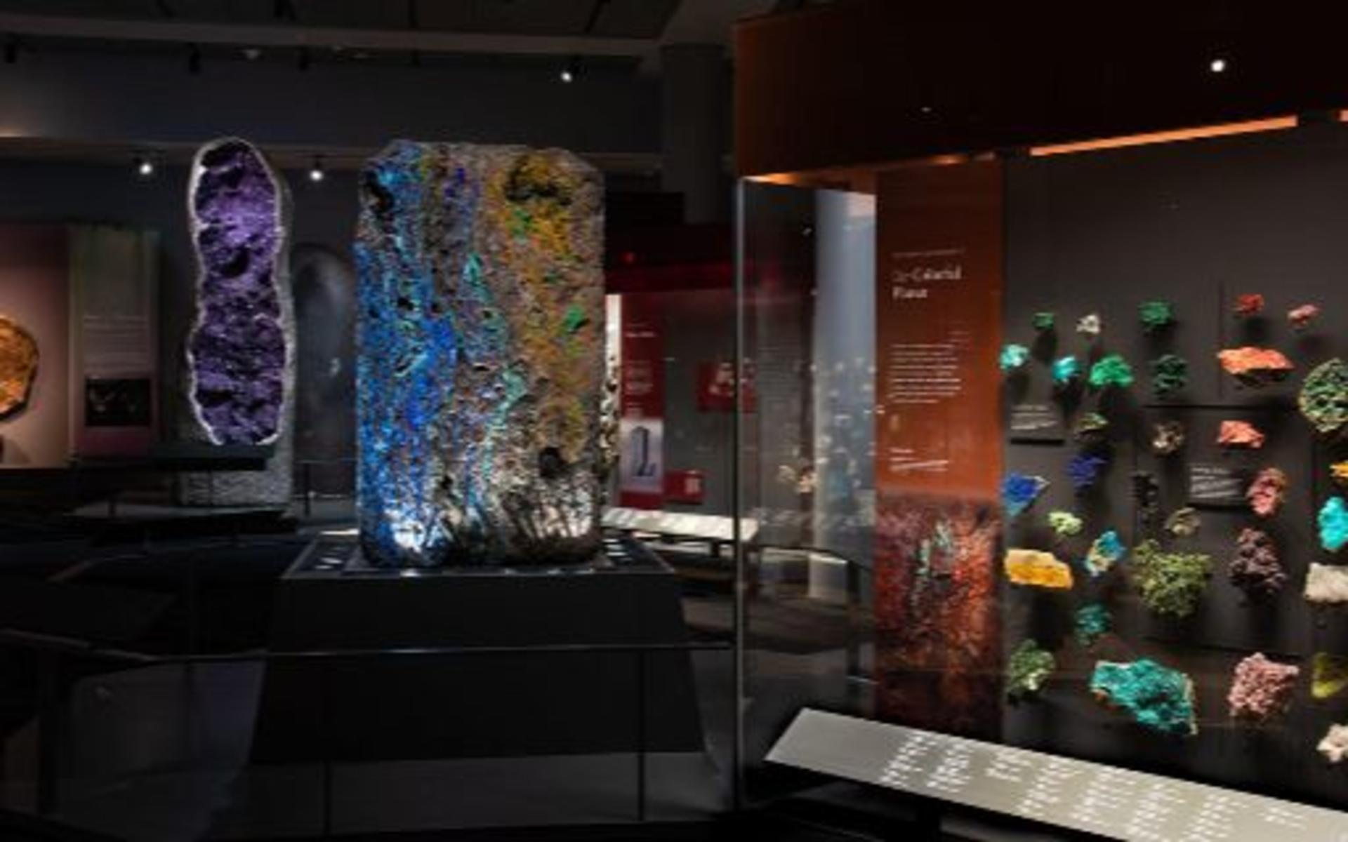 American Museum of Natural History Ticket - Thumbnail 11