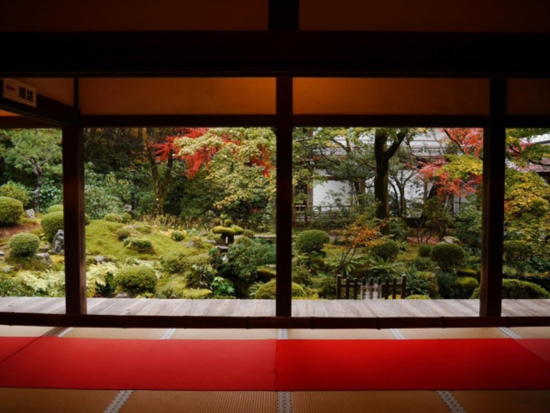 One-day trip to Kyoto's Kifune Shrine, Arashiyama, and Sanzen-in Temple - Thumbnail 3