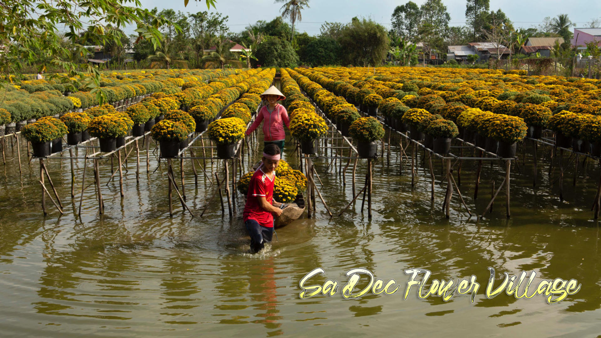 Dong Thap, Sa Dec & Dinh Yen Mat-Weaving Village Day Tour - Thumbnail 3
