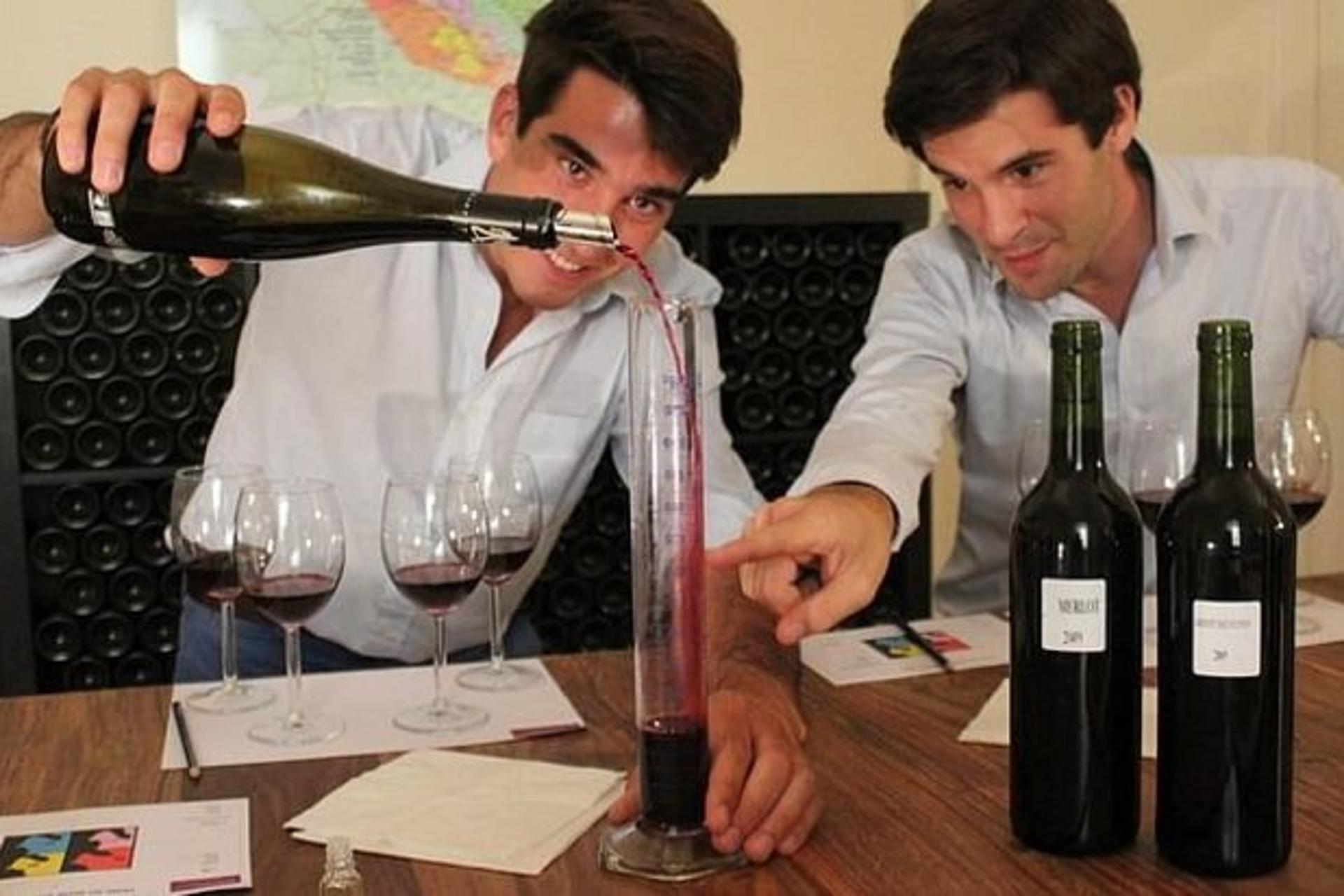 Wine blending workshop in Bordeaux - Image 1