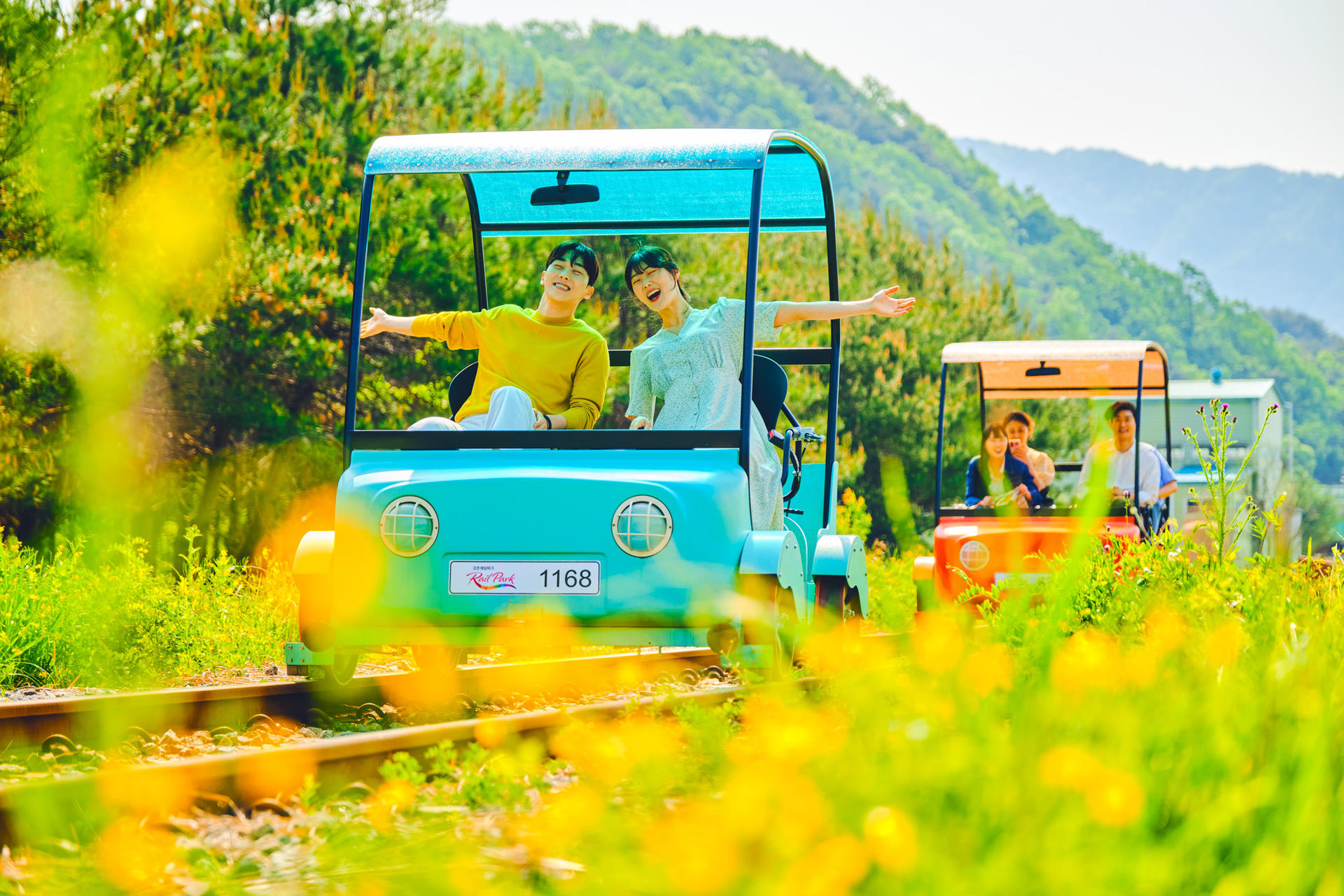 Seoul Private Car Charter to Seoul City / Seoul Suburb / Gangwon-do (Nami Island / Alpaca World / Sokcho) - Thumbnail 15